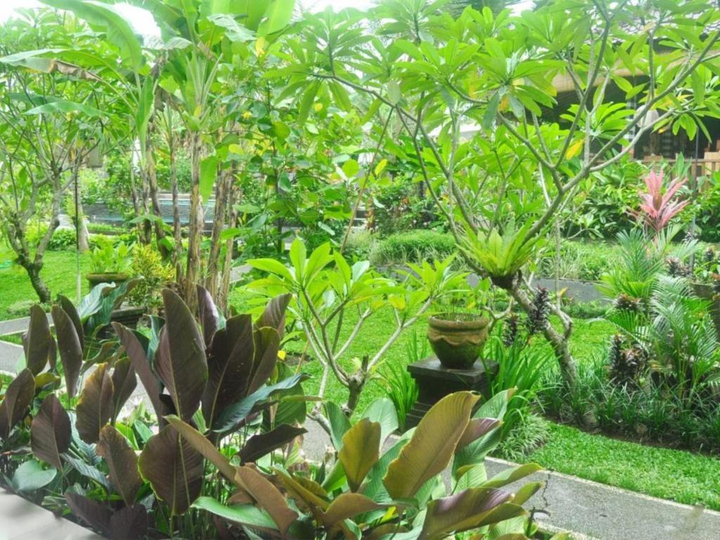 Фото Bucu Guest House