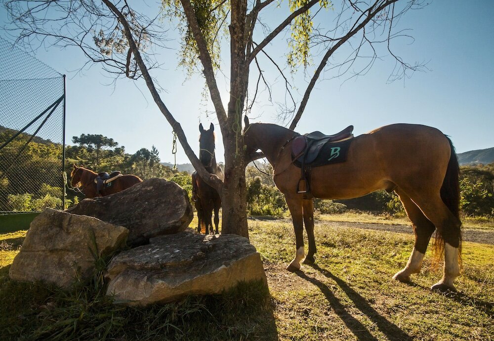 Фото Botanique Hotel and SPA