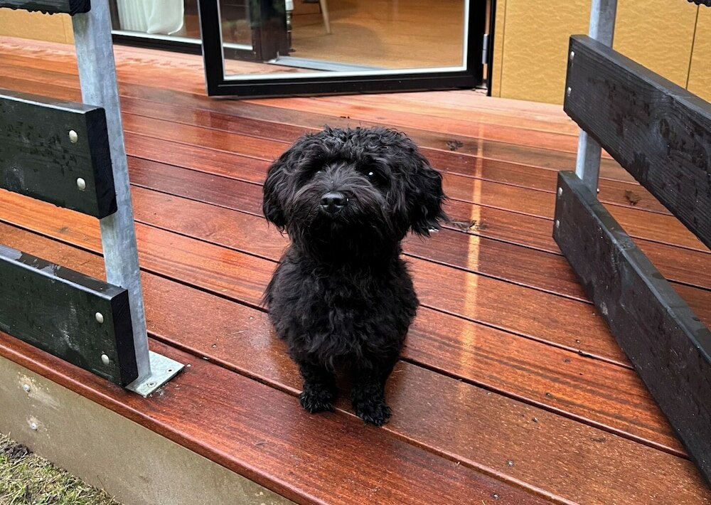 Фото Hotel Fjordgaarden