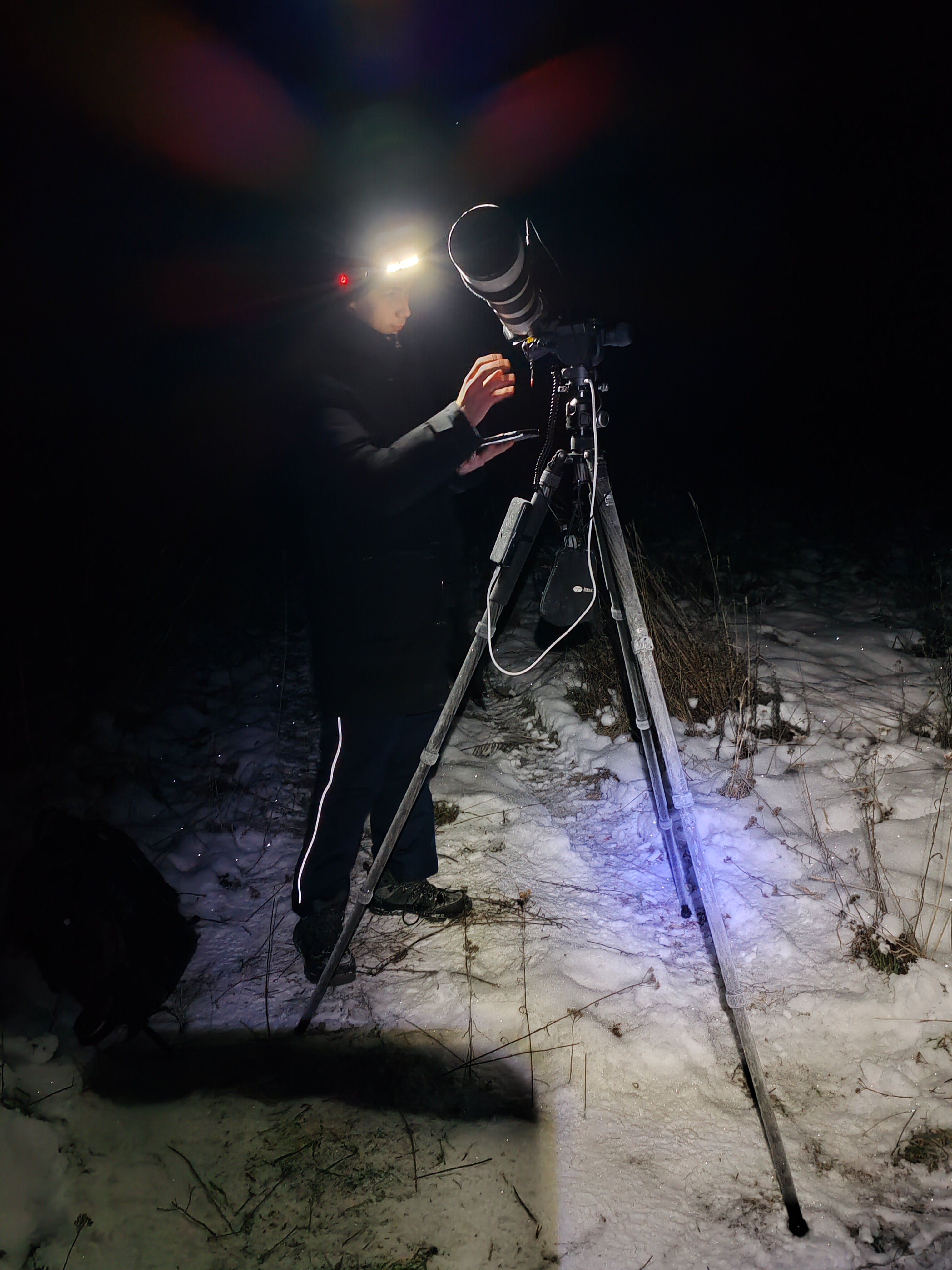 Фото Хозяин леса