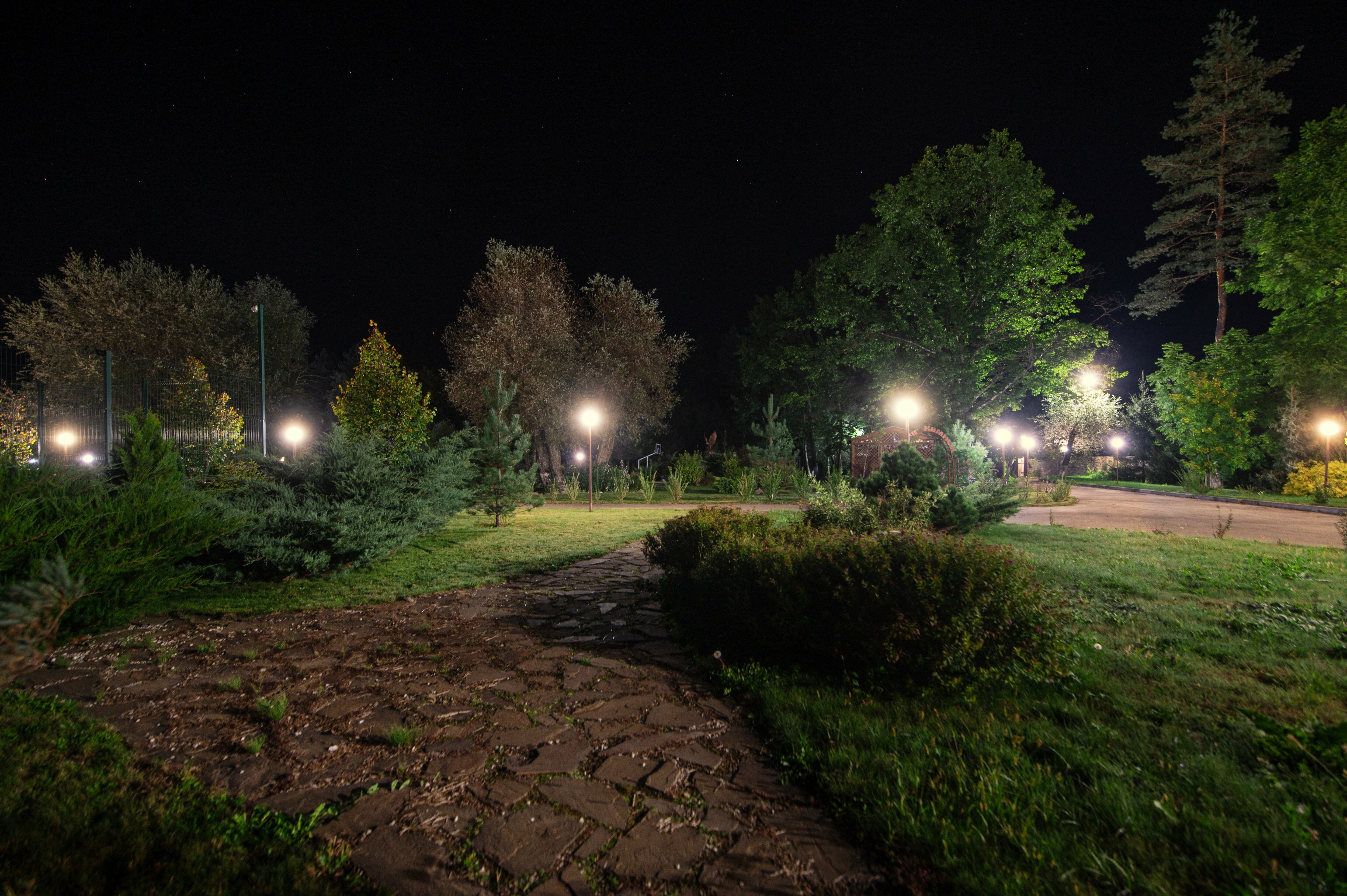 Фото Павлова поляна