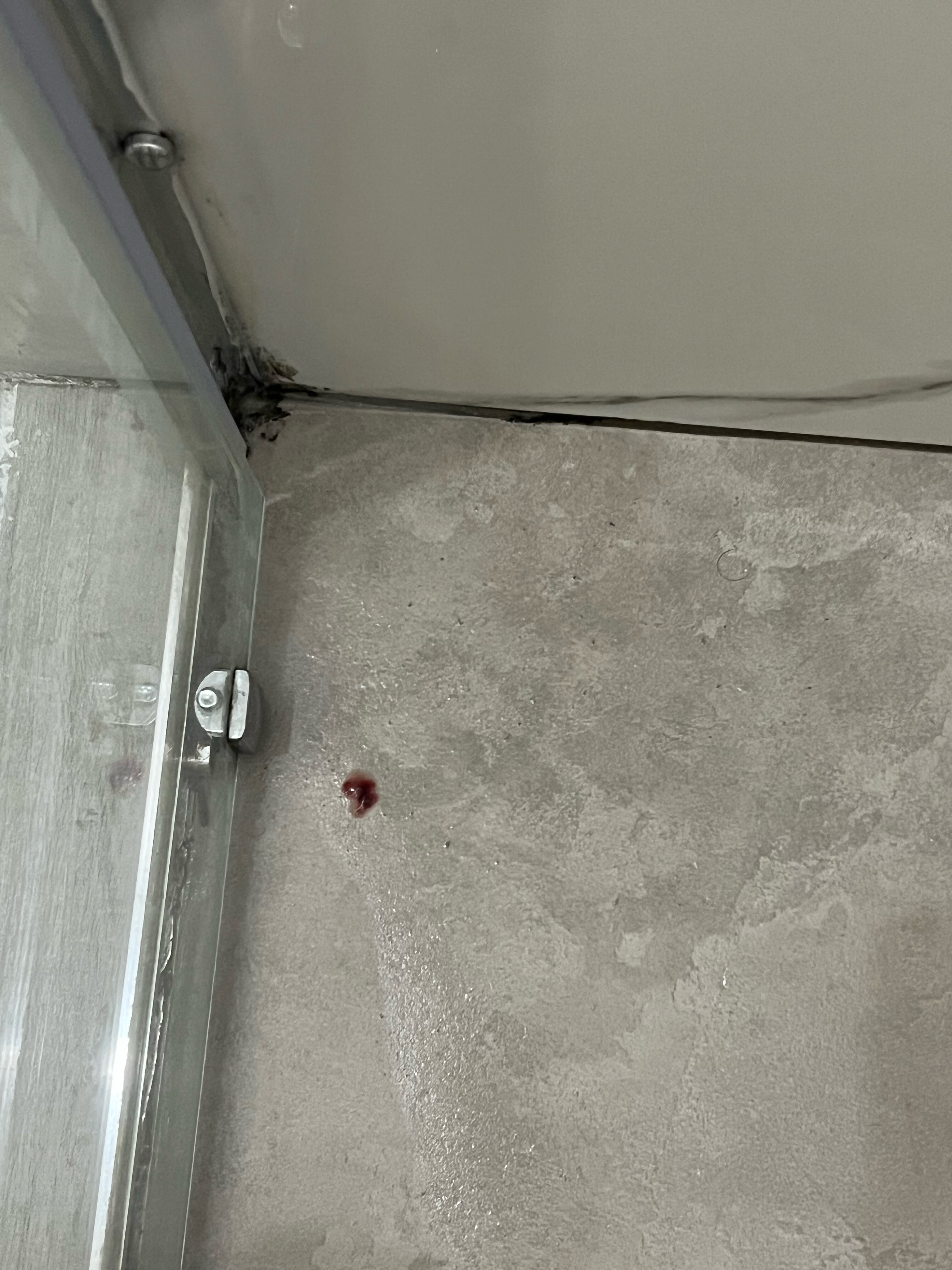 Фото Hotel Bella Napoli