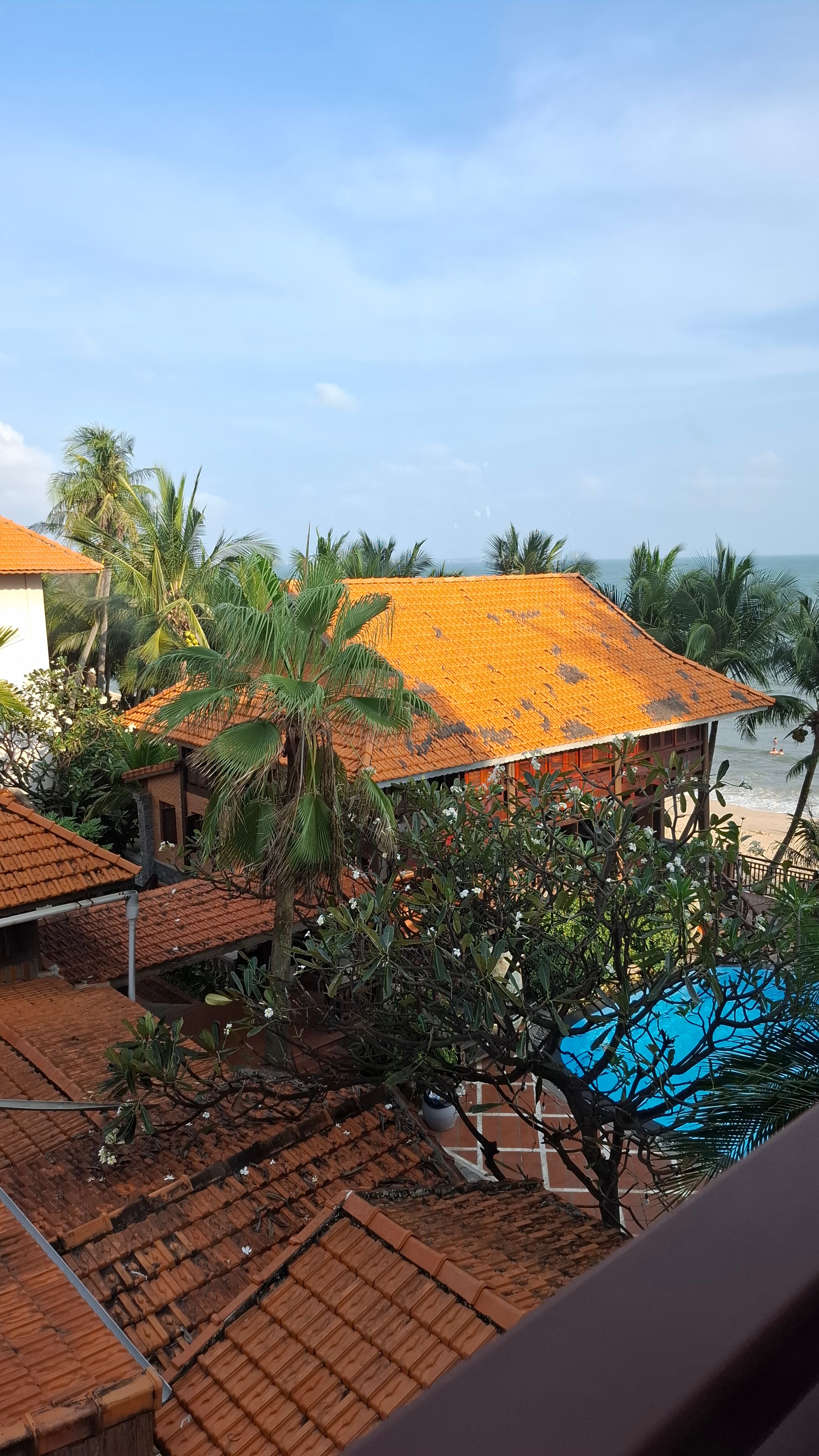 Фото Novela Muine Resort & SPA