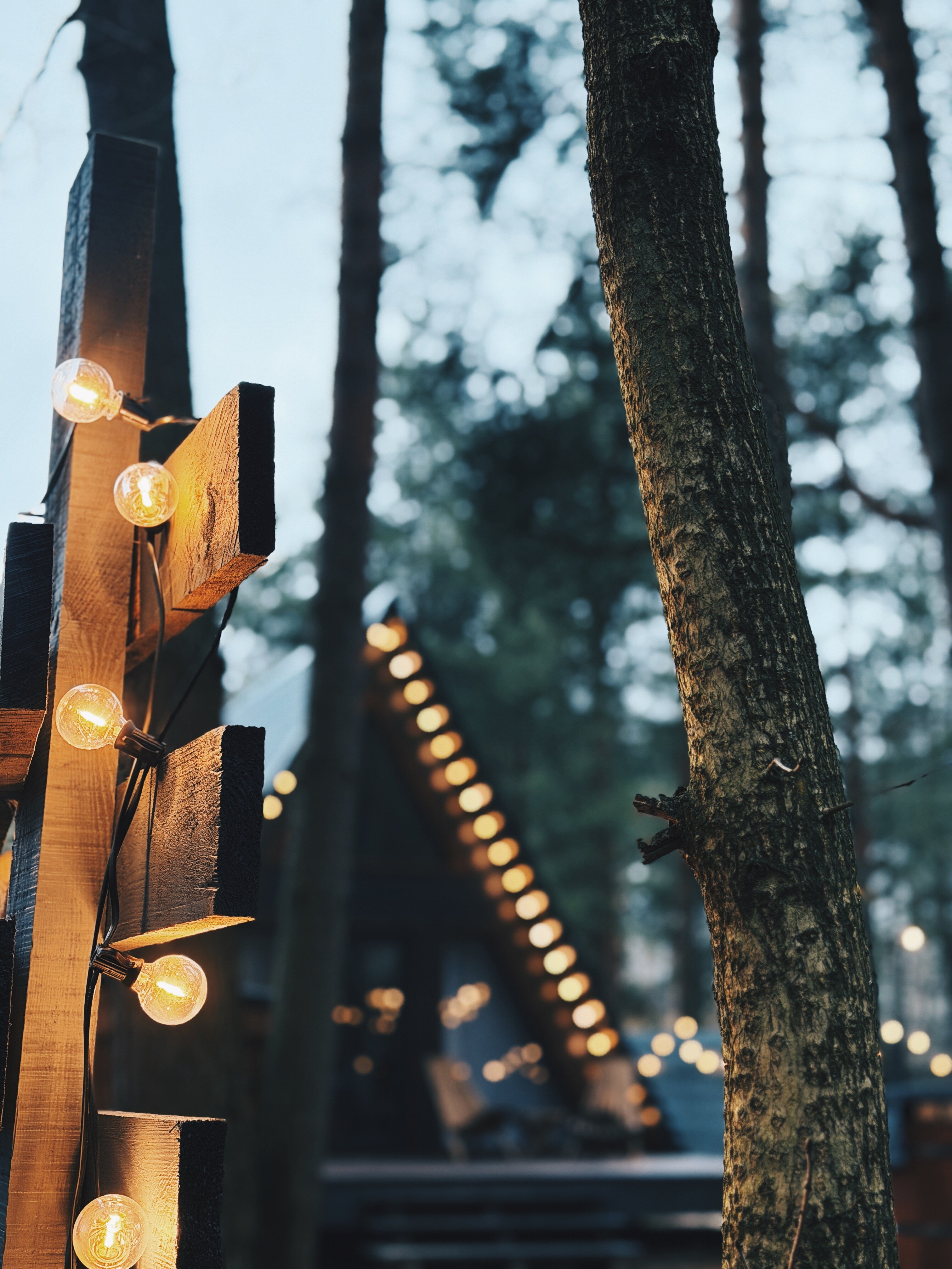 Фото Дубровка