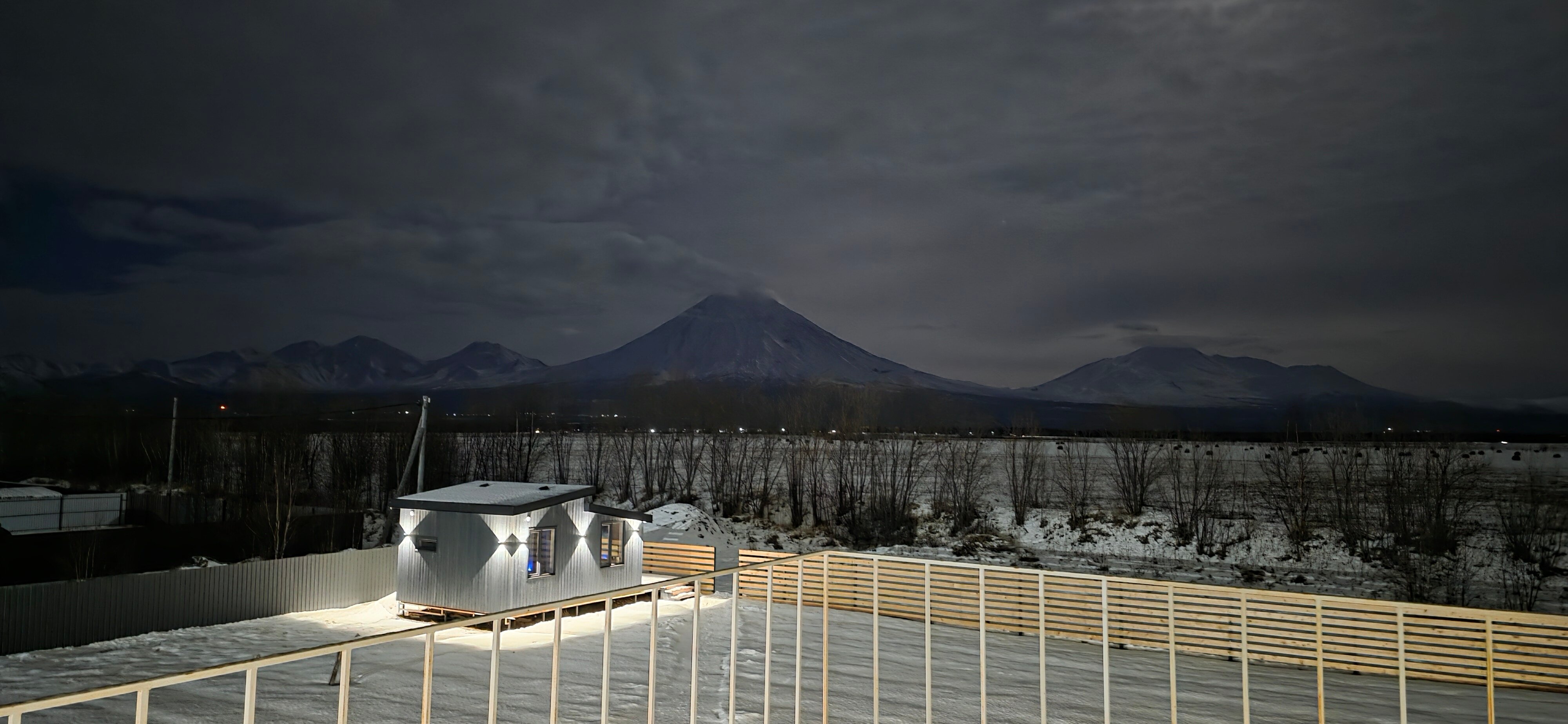 Фото Жимолость