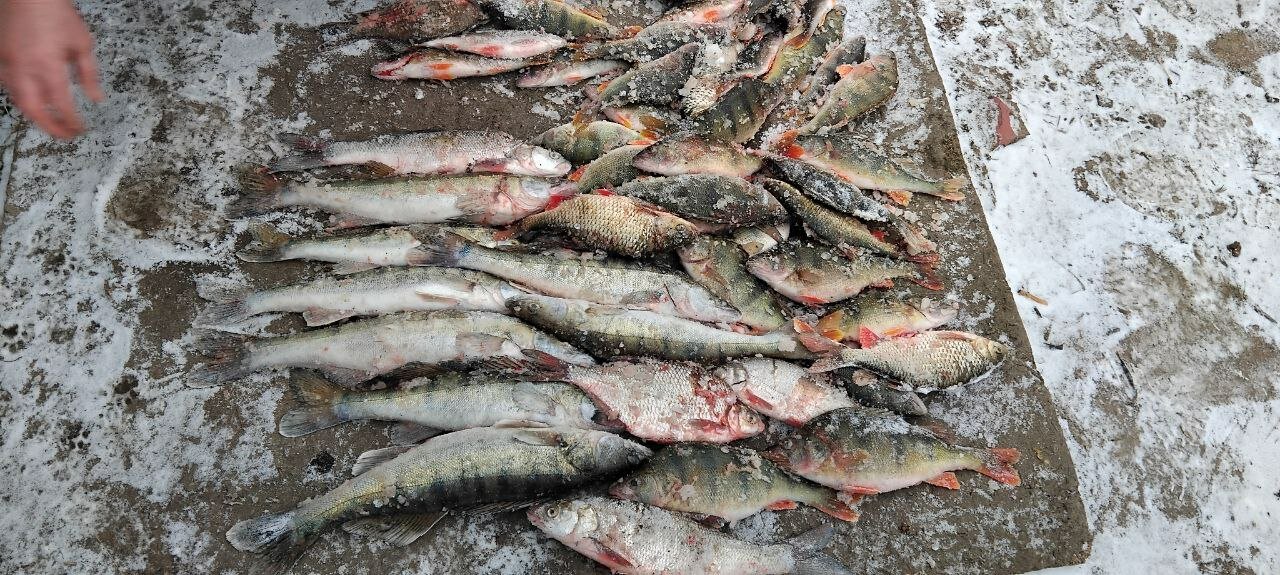 Фото Атмосфера