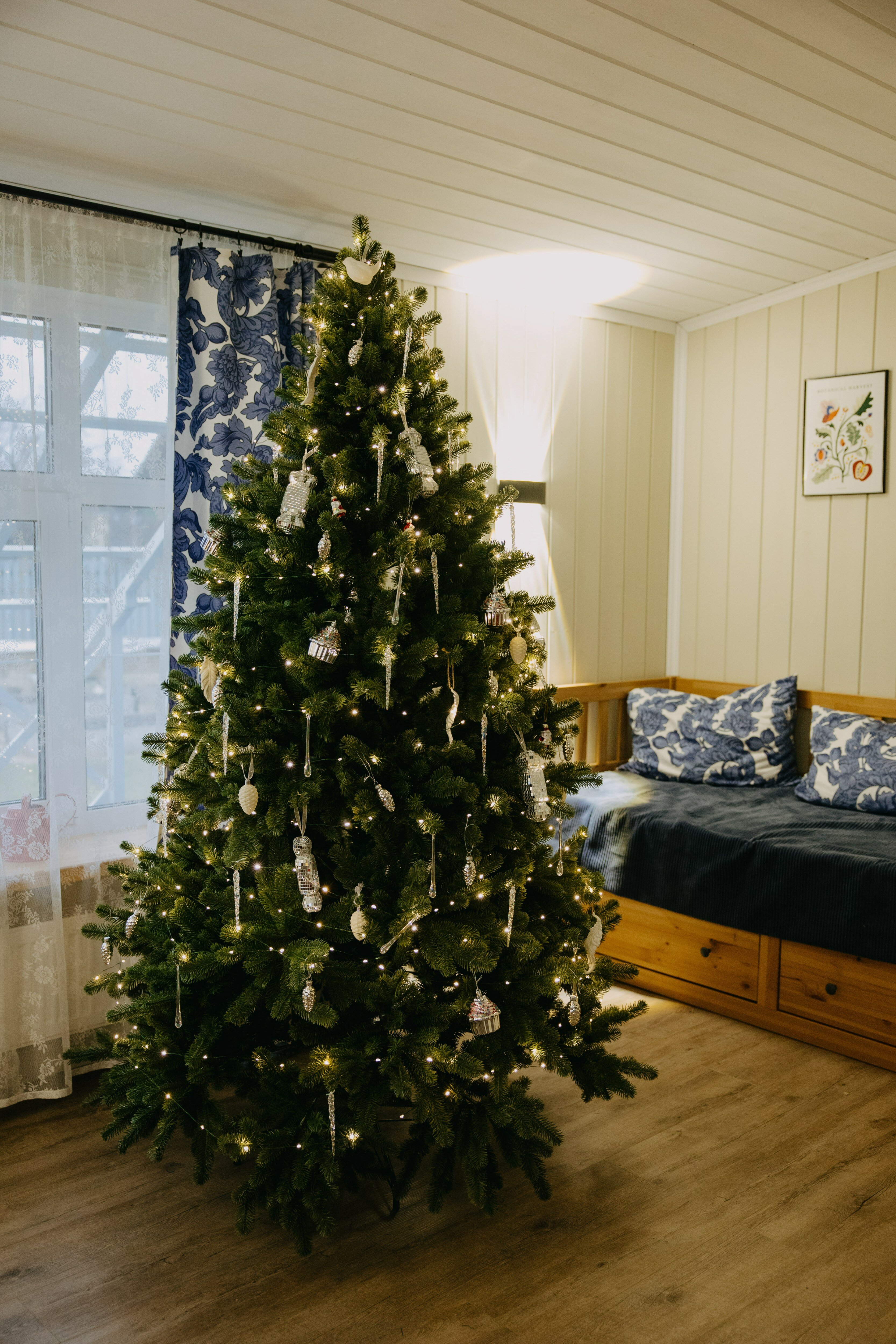 Фото Синяя синица