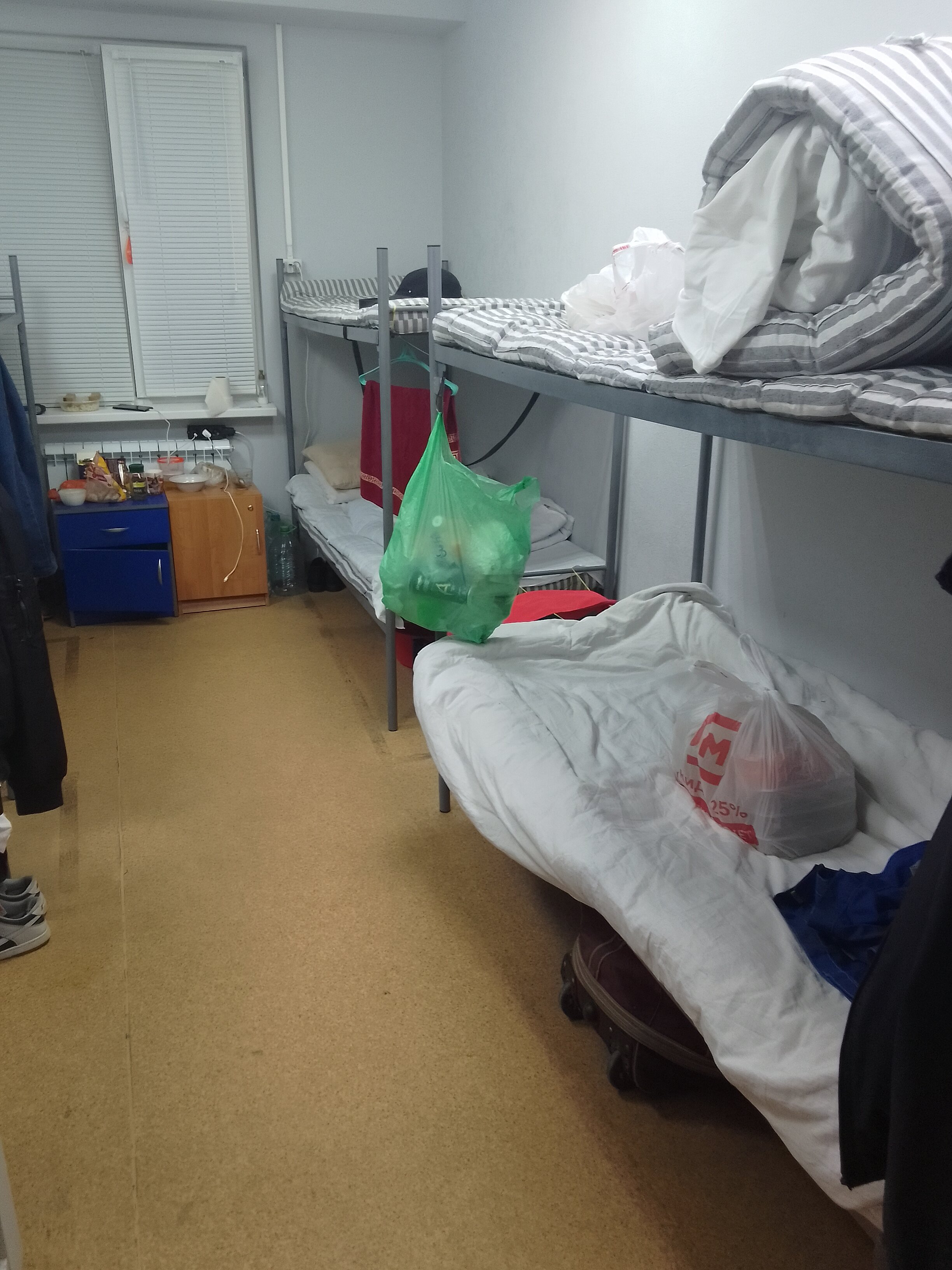 Фото Живитут