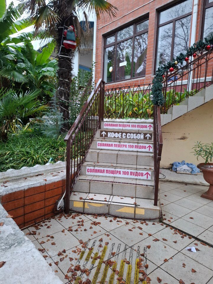 Фото Альбатрос