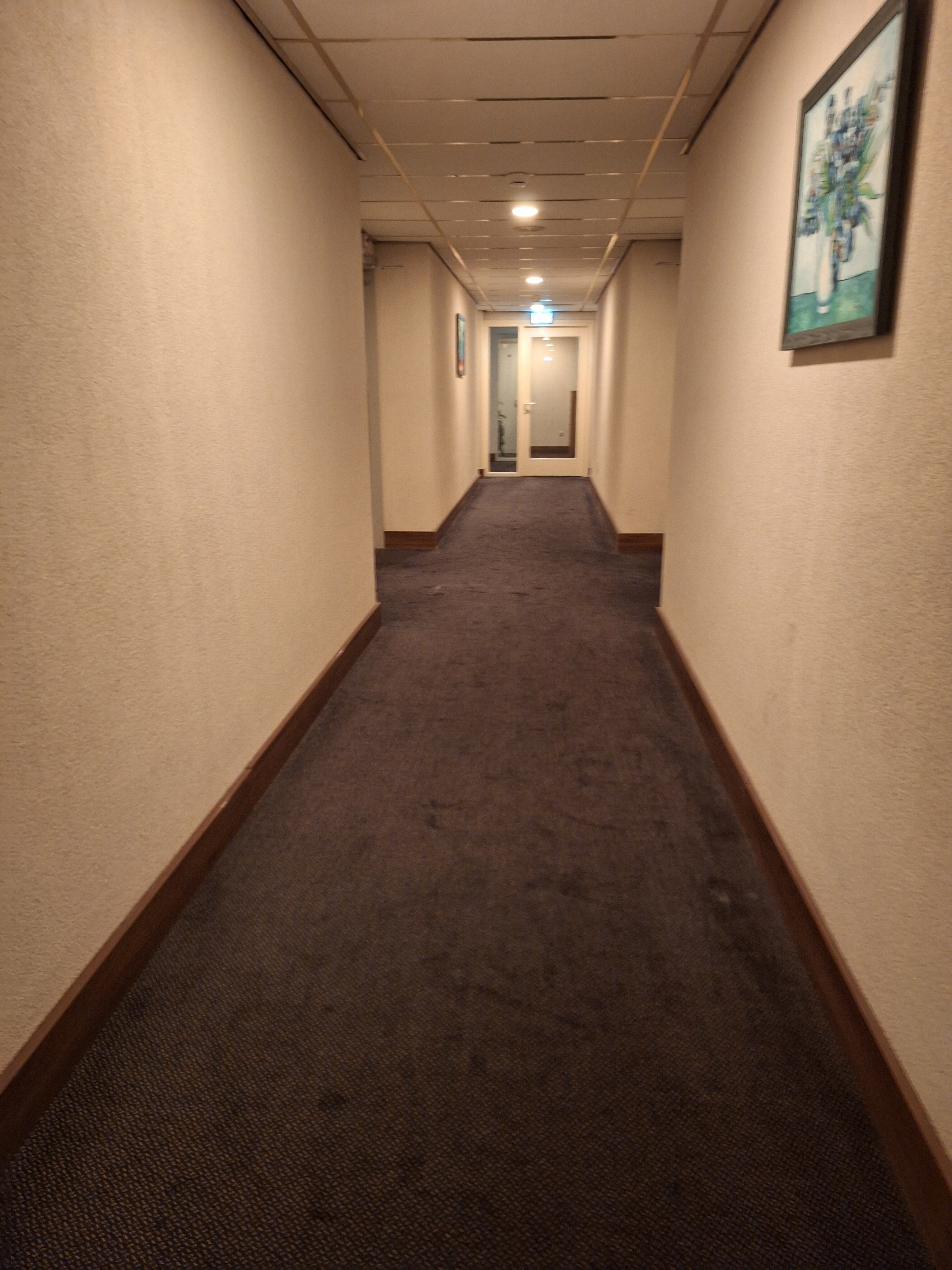 Фото Hotel Zwanenburg
