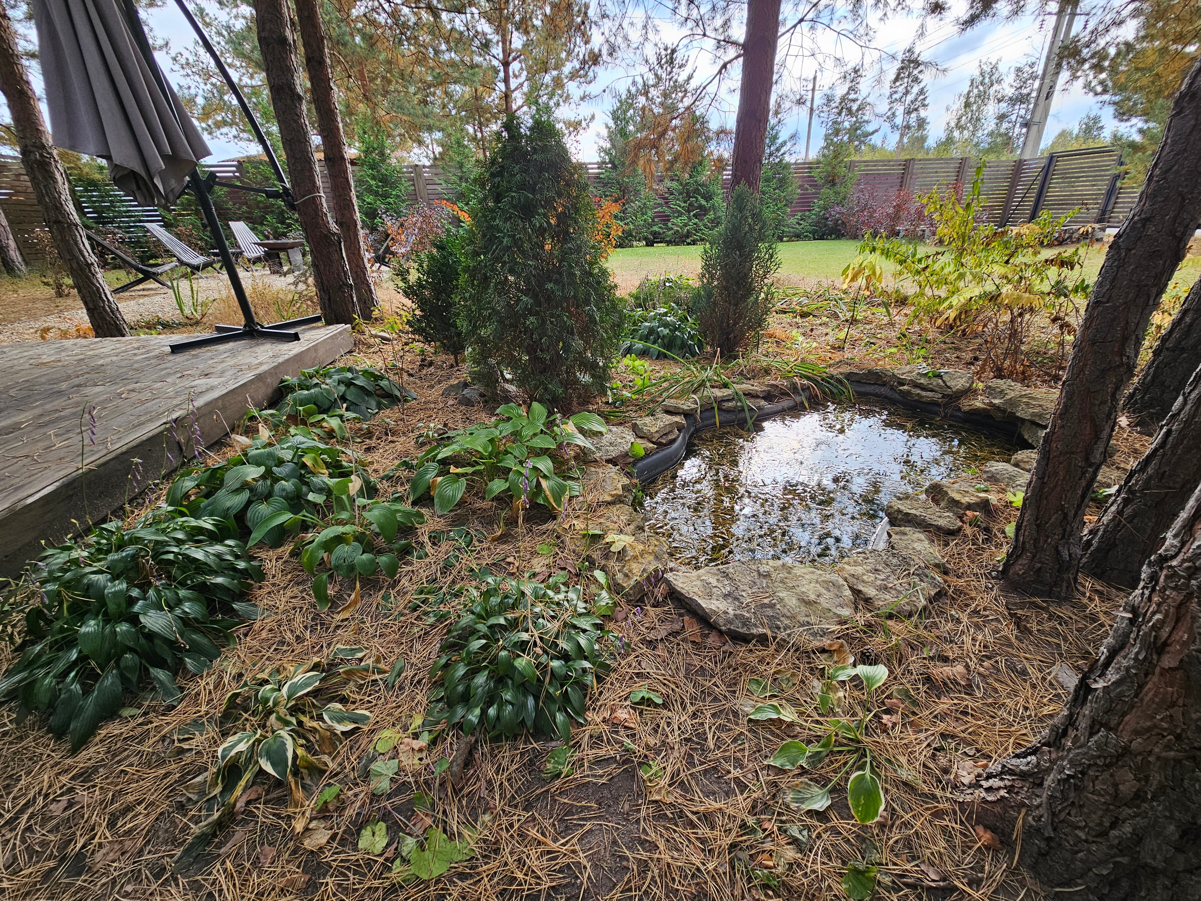Фото Dacha_oz