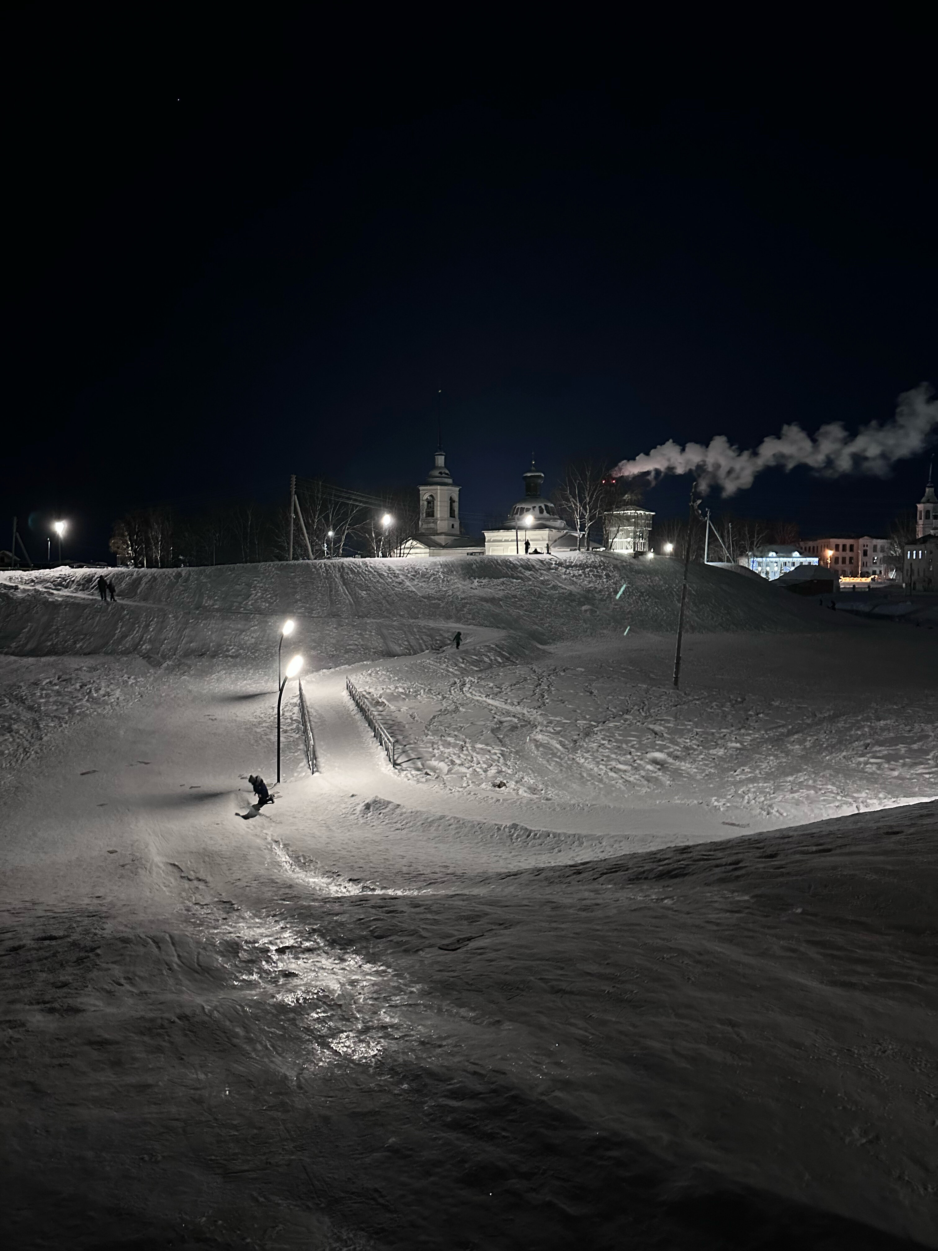 Фото Чайка