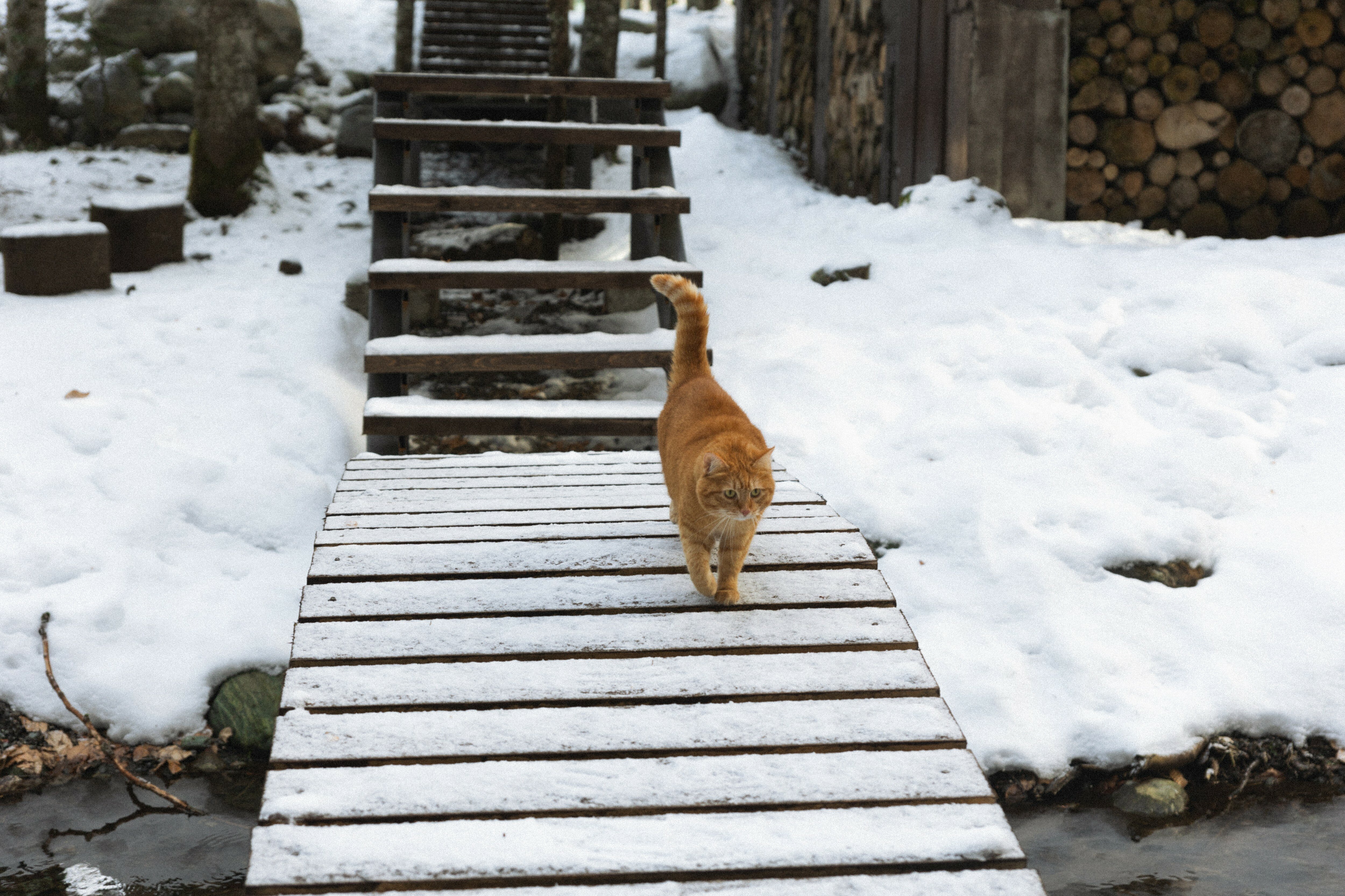 Фото Времена Года Village