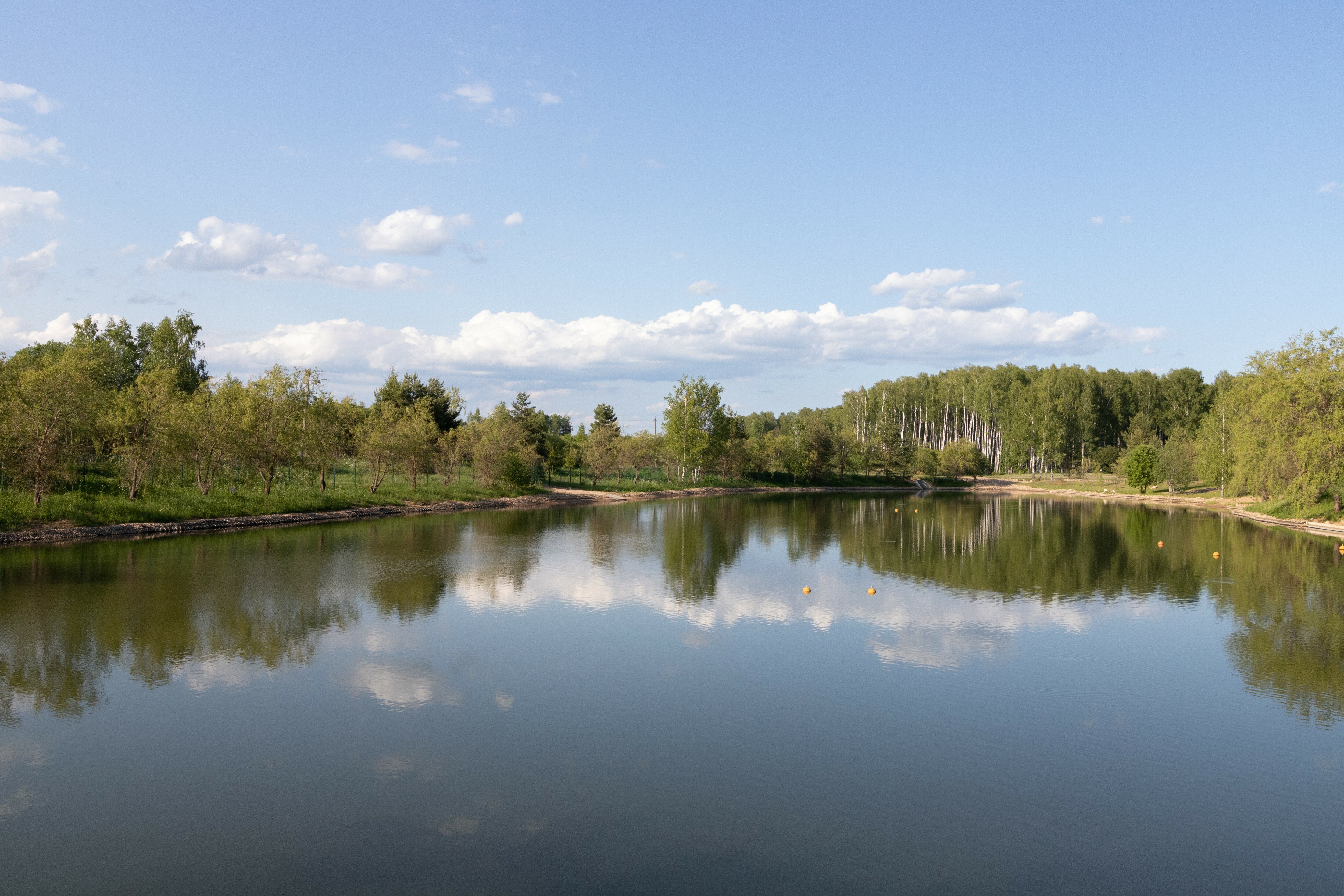 Фото Кречет