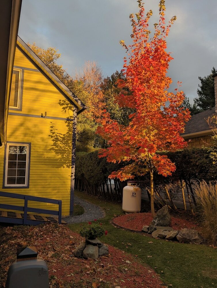 Фото Au Saut du Lit