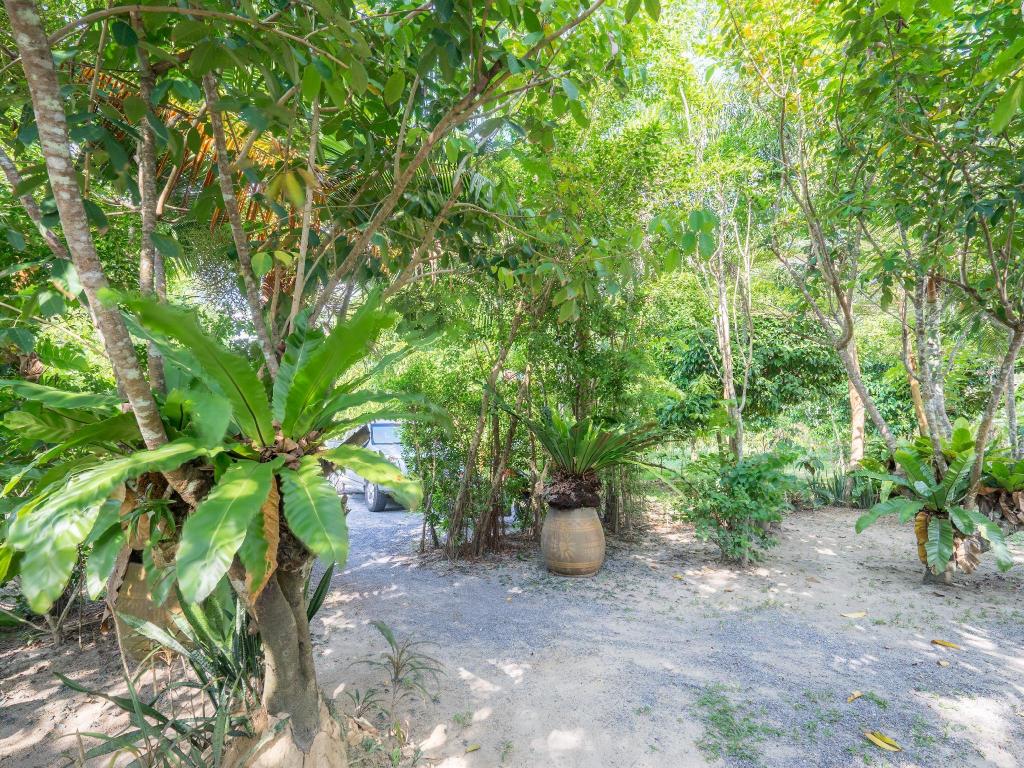 Фото Baan Suan Leela