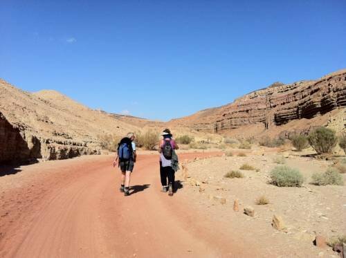 Гостиница Ibex unique Desert Inn в Мицпе-Рамоне
