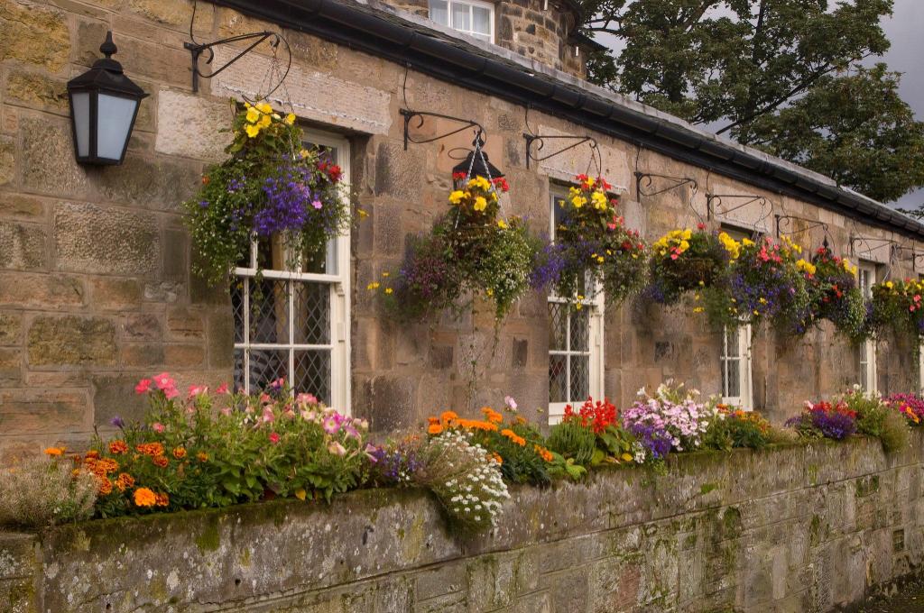 Фото Premier Inn Edinburgh East