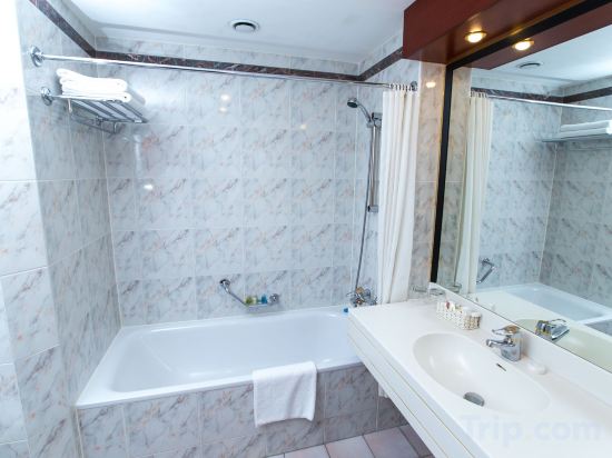 Фото Rahat Palace Hotel