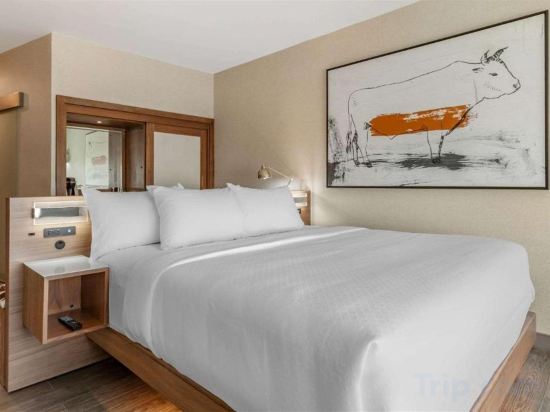 Фото Cambria Hotel Richardson - Dallas