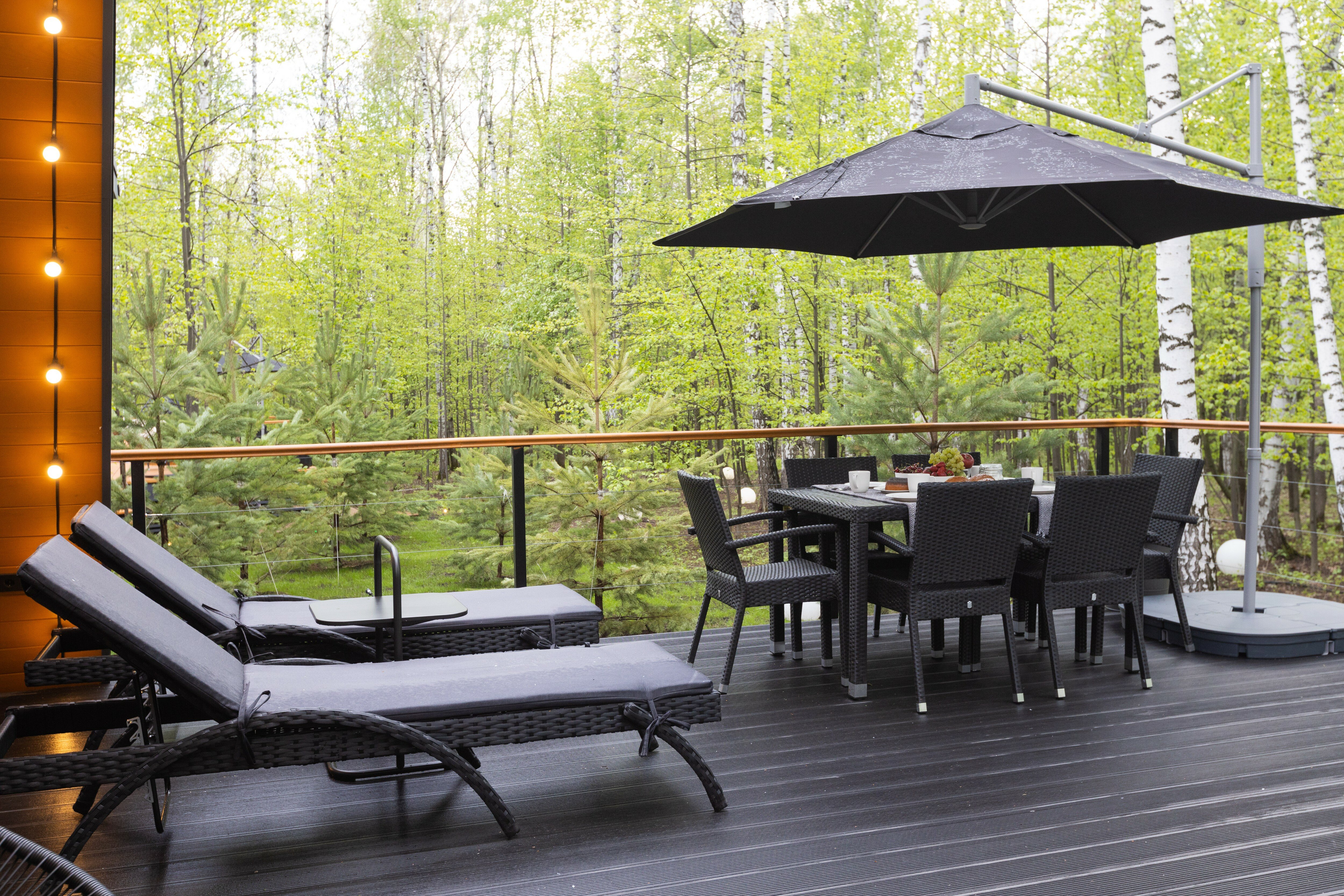 Фото Кедр Кэмп