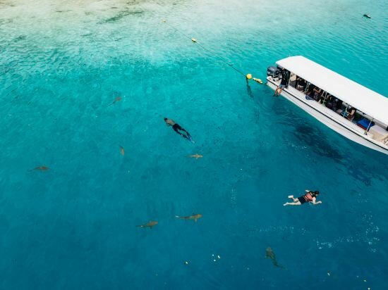 Фото Курортный отель Palau Sunrise Sea View Landison Retreat