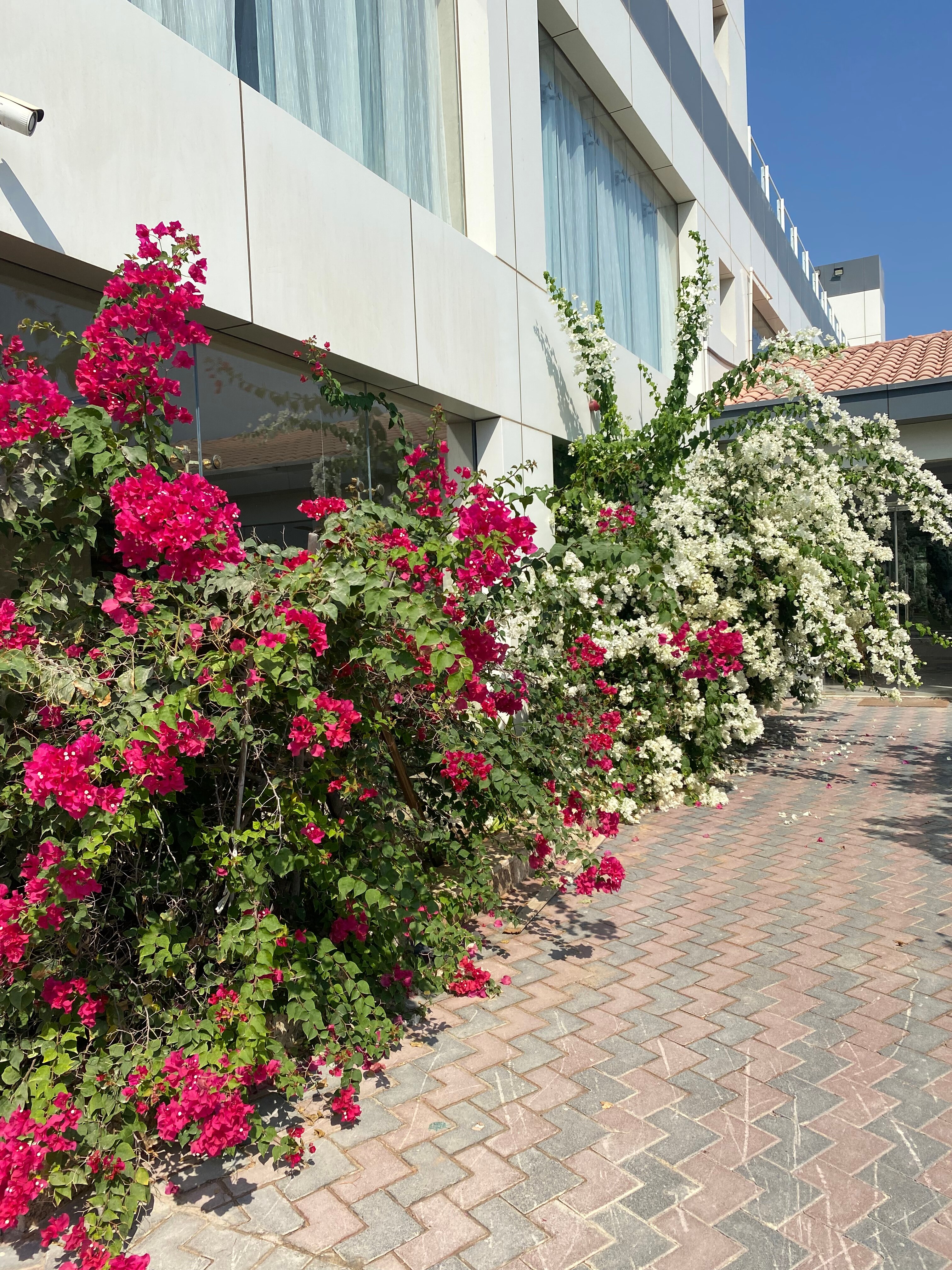 Фото Mirage Bab Al Bahar Hotel