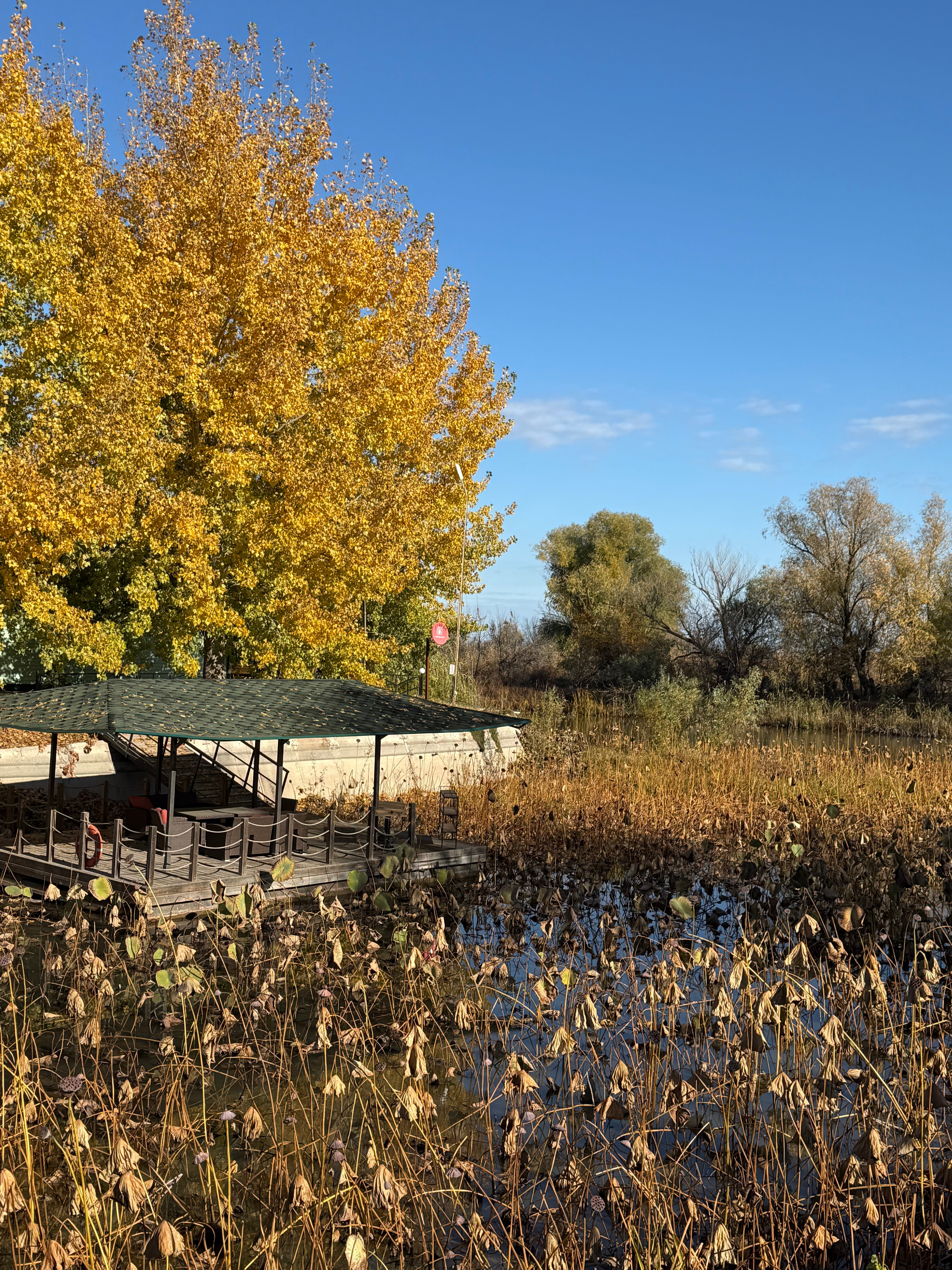 Фото Блесна