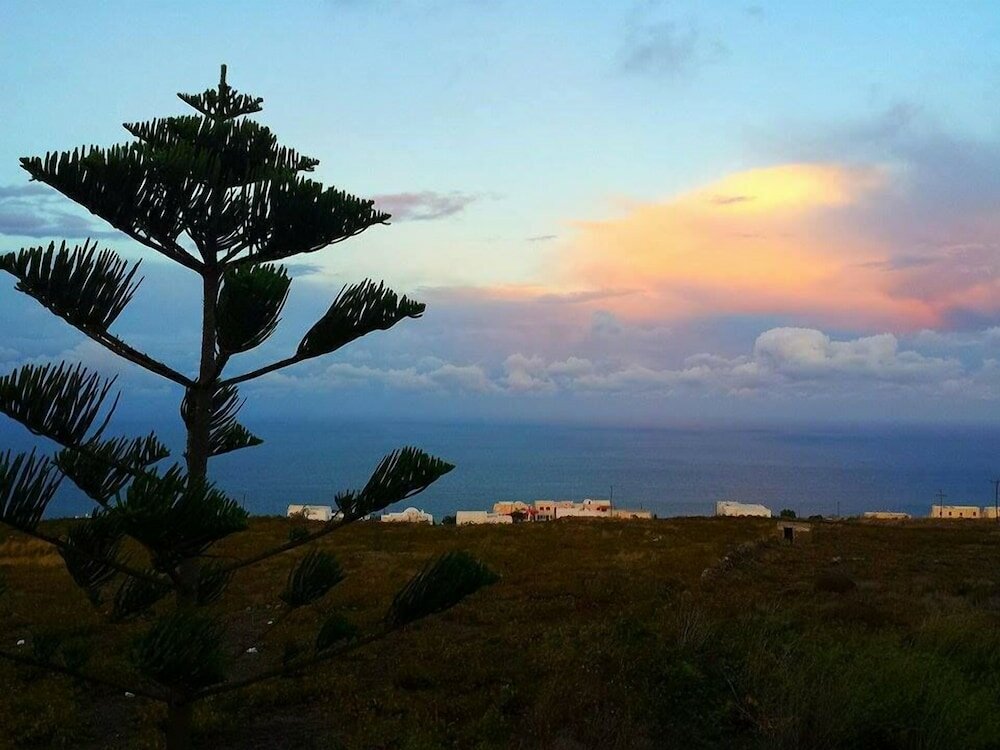 Фото Villa Happening