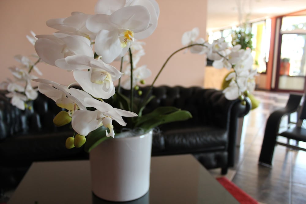 Фото Piccolo Hotel Nogara