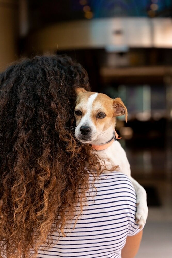 Фото Climia 2Sleep Apartments