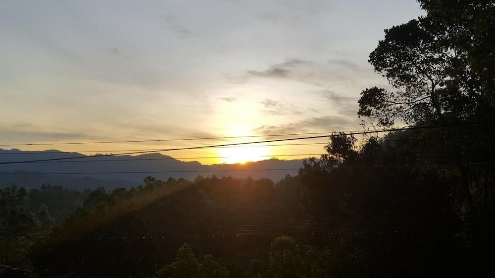 Фото Nature Life Guest Inn