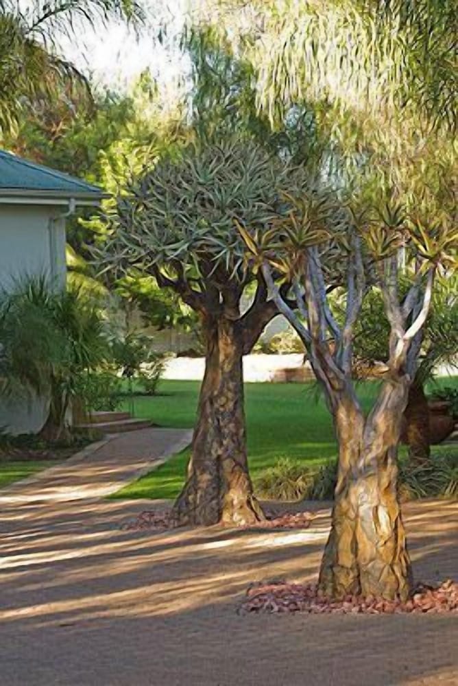 Фото Hlangana Lodge