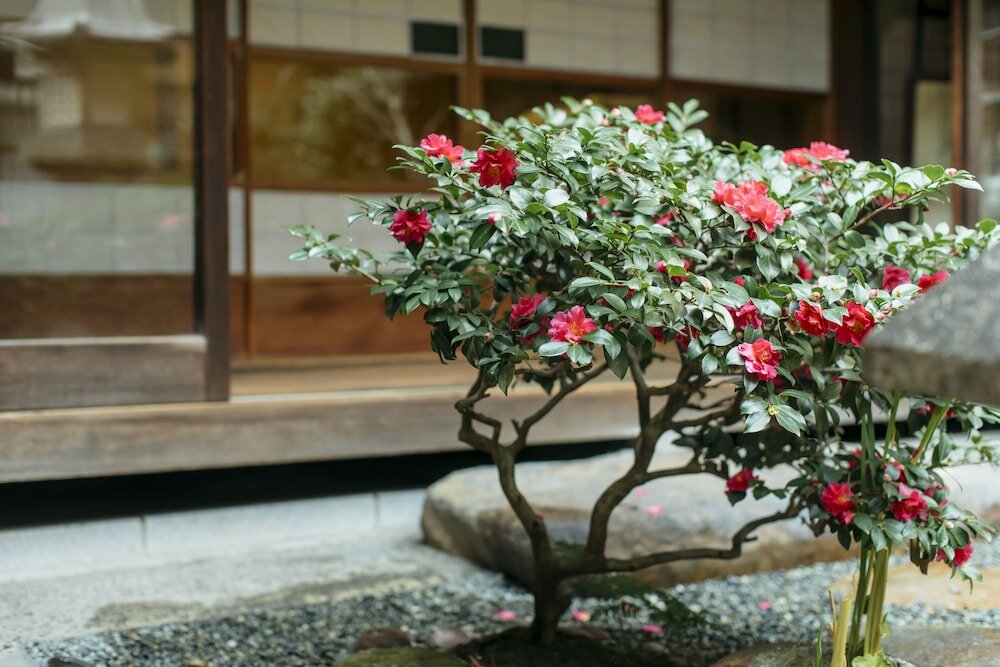 Фото Toshiharu Ryokan