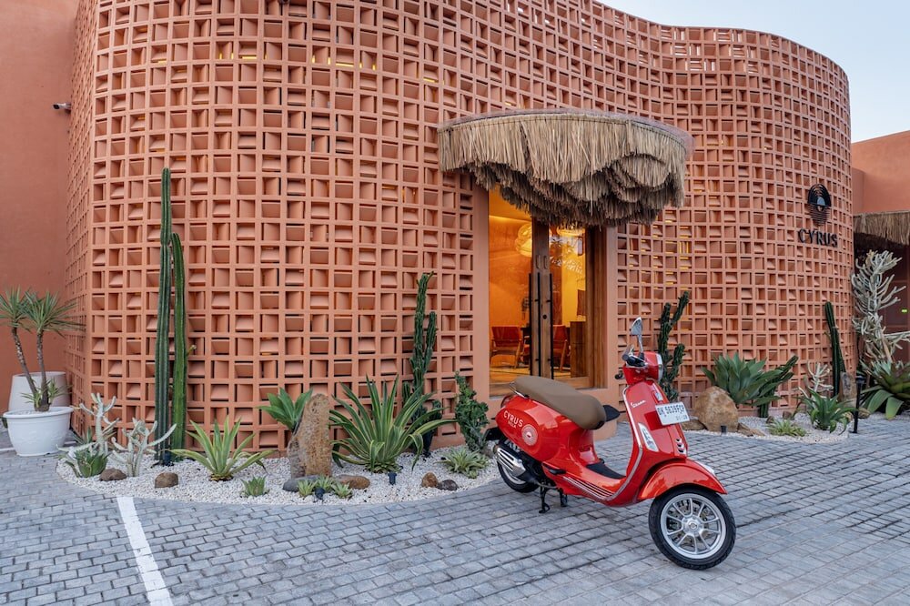 Фото 181223597734