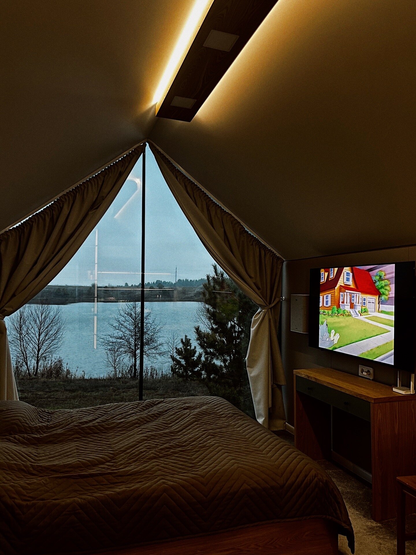 Фото Золотая Рыбка