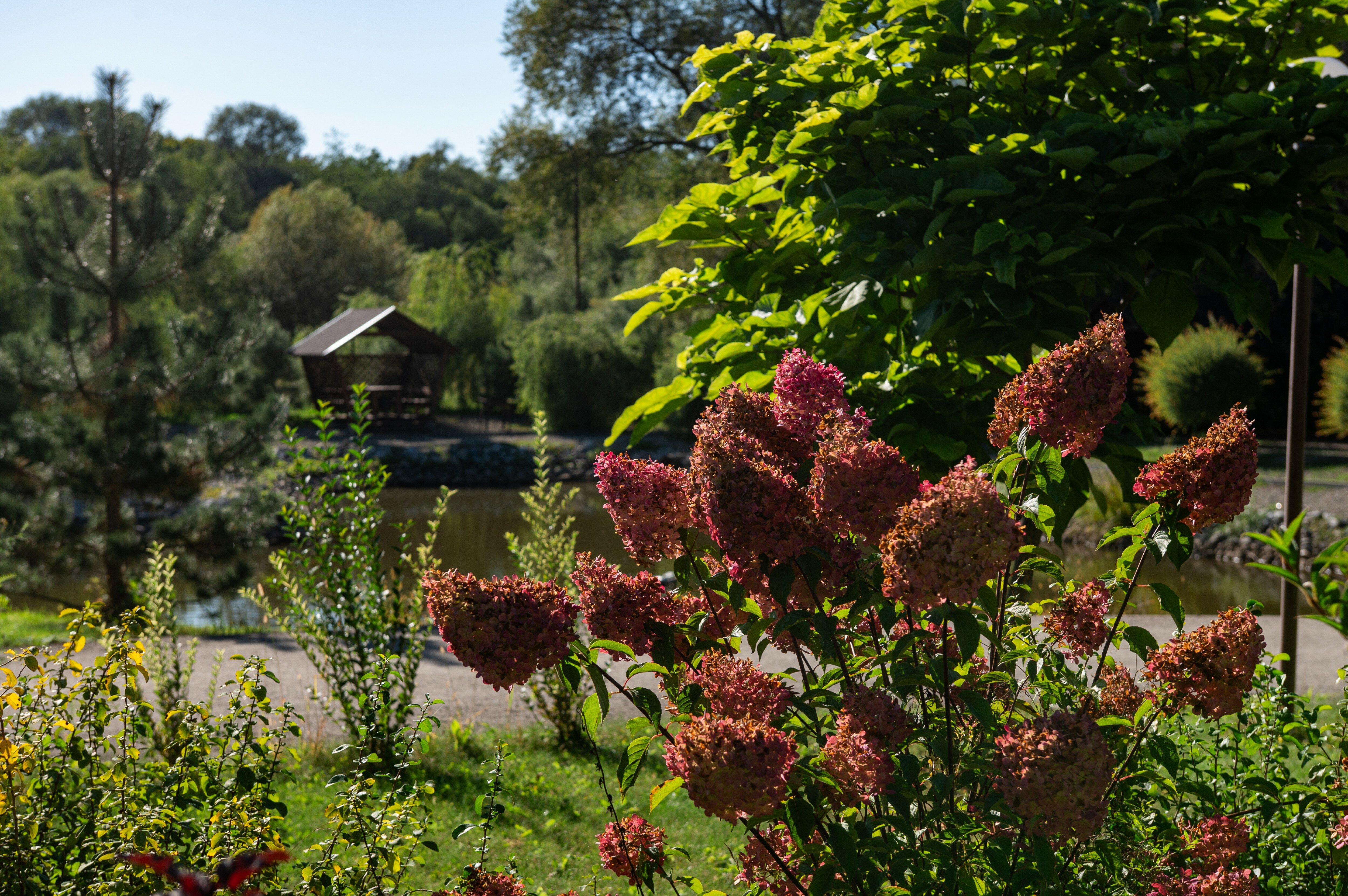 Фото Павлова поляна