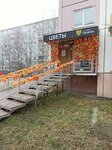 Ty zh moya Pizhma (ulitsa Petra Alekseyeva, 5А), flower shop