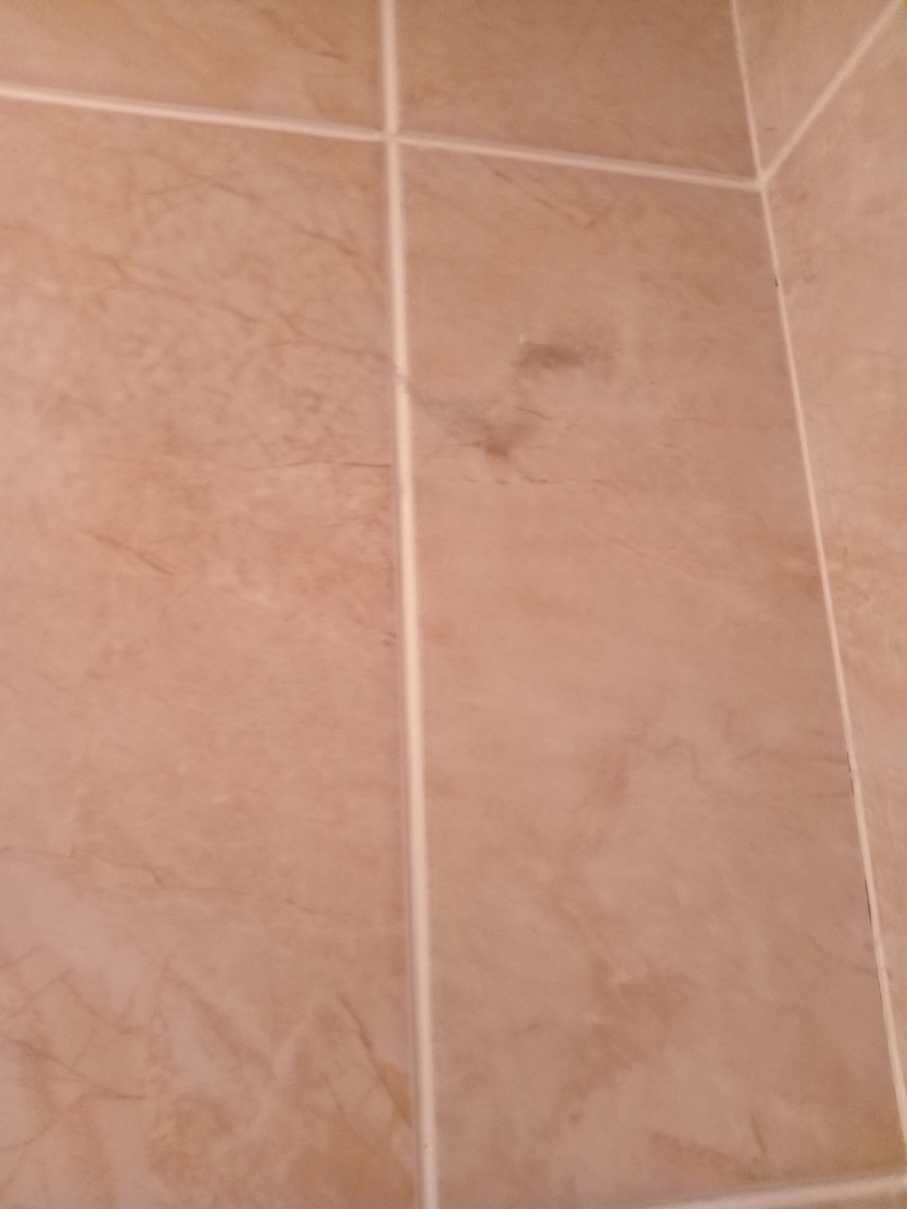 Фото Вилла Роза