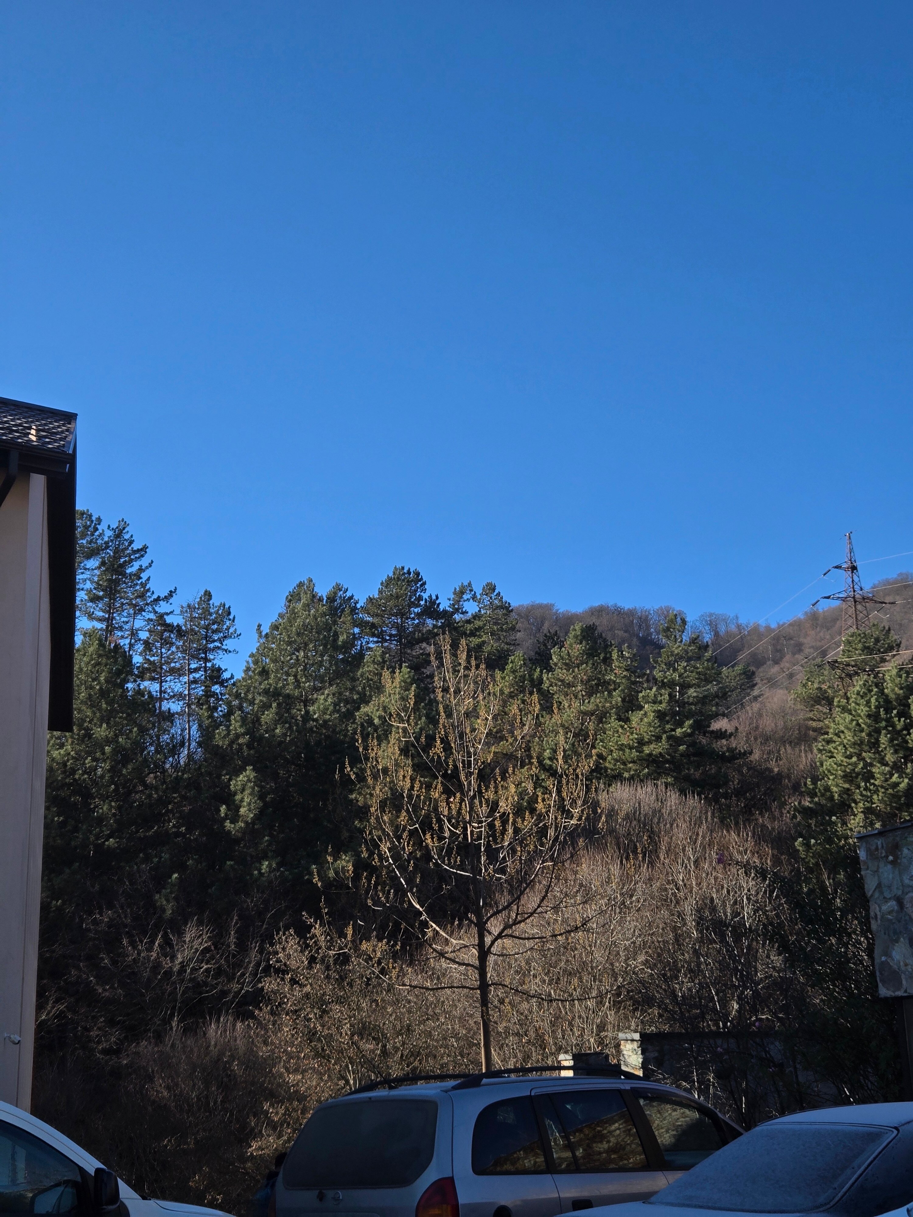 Фото Дилиджазз