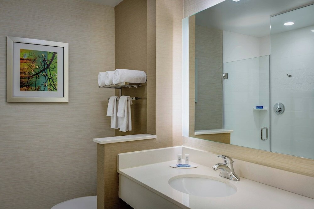 Фото Fairfield Inn & Suites Dallas West/i-30