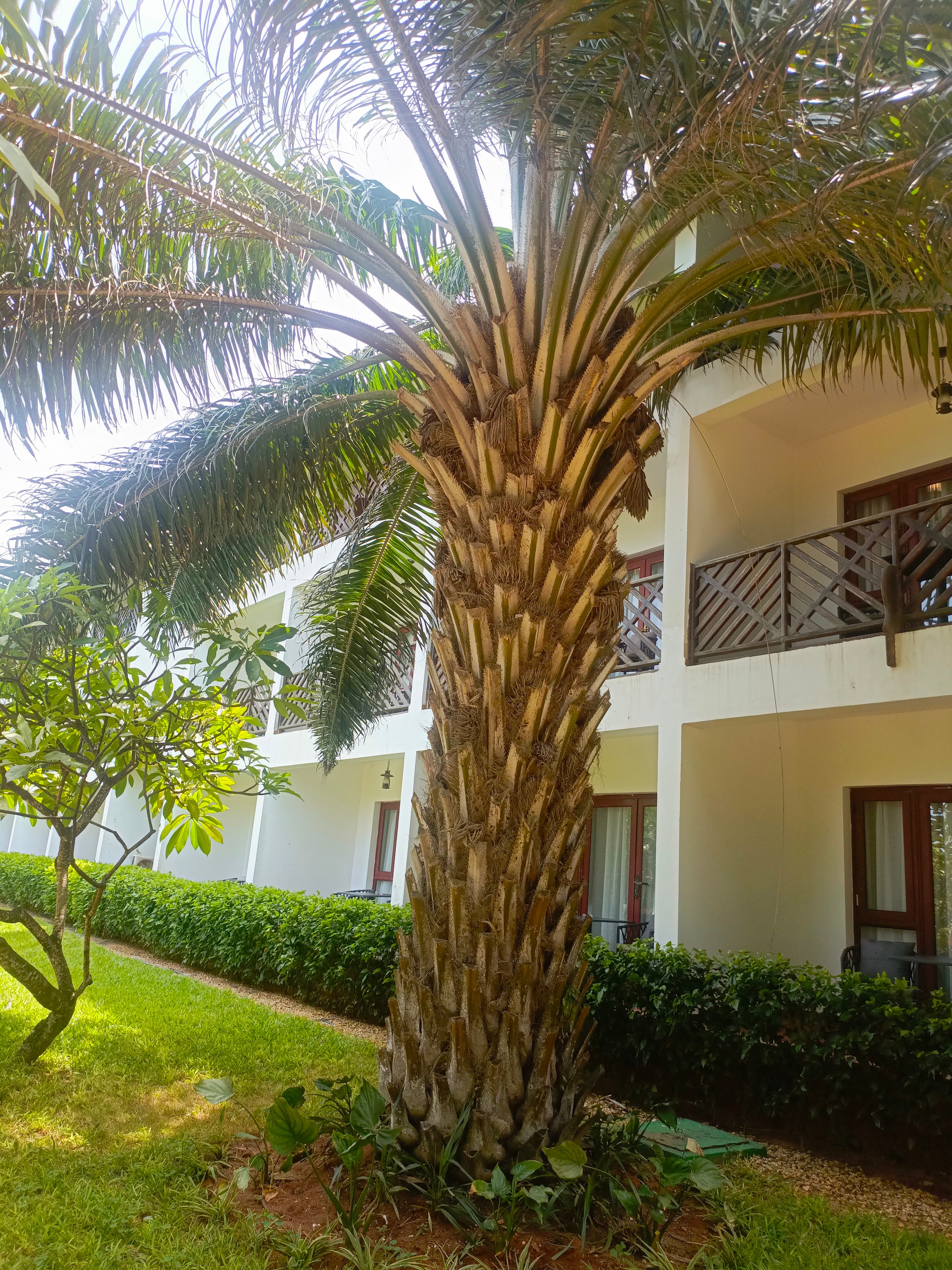 Фото Turaco Nungwi Resort a Tribute Portfolio Hotel