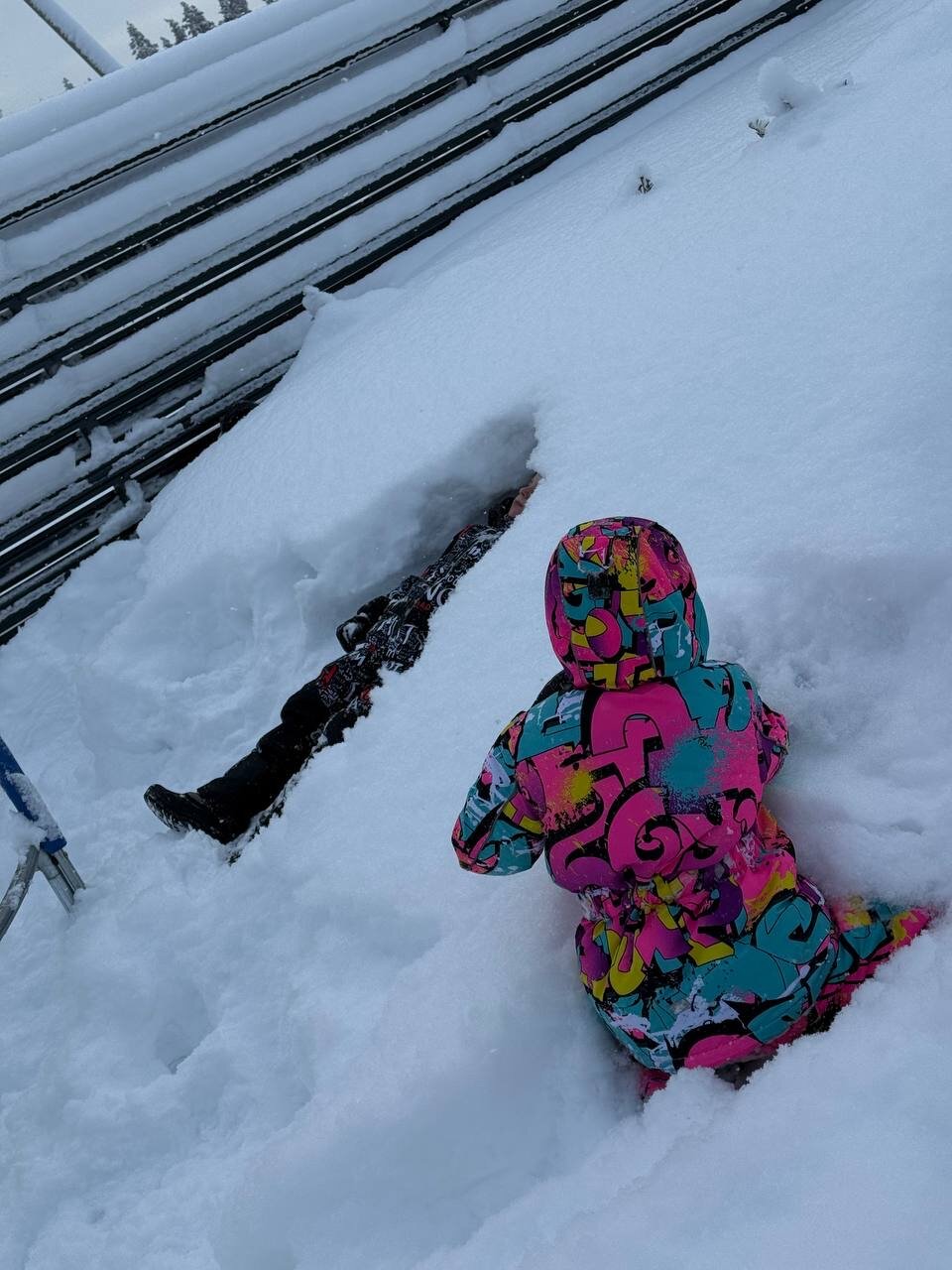 Фото Горки47