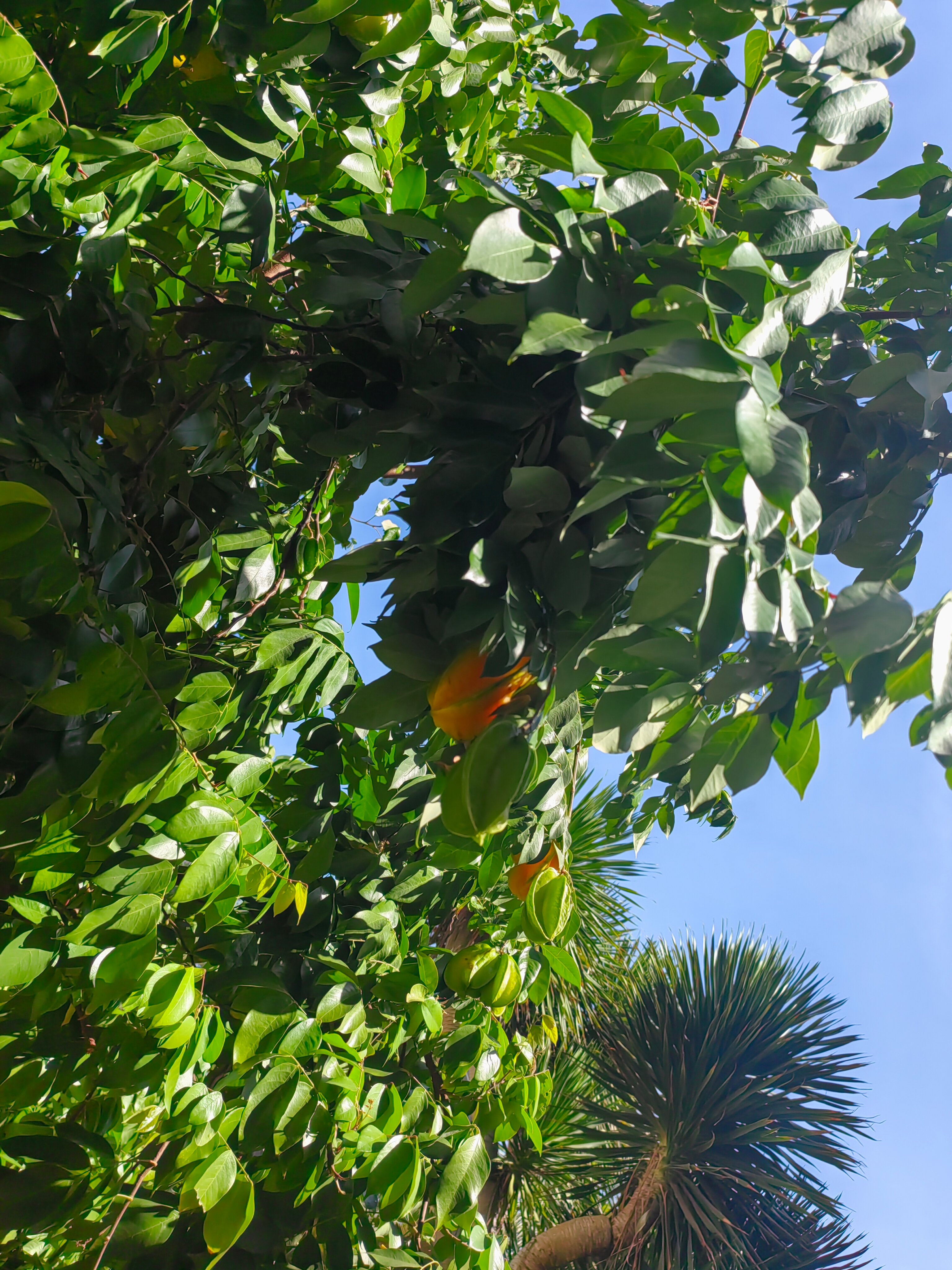 Фото Mường Thanh Holiday Mui Ne