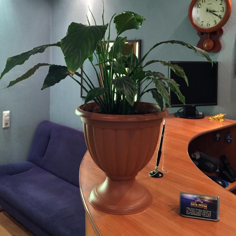 Фото Пять звезд