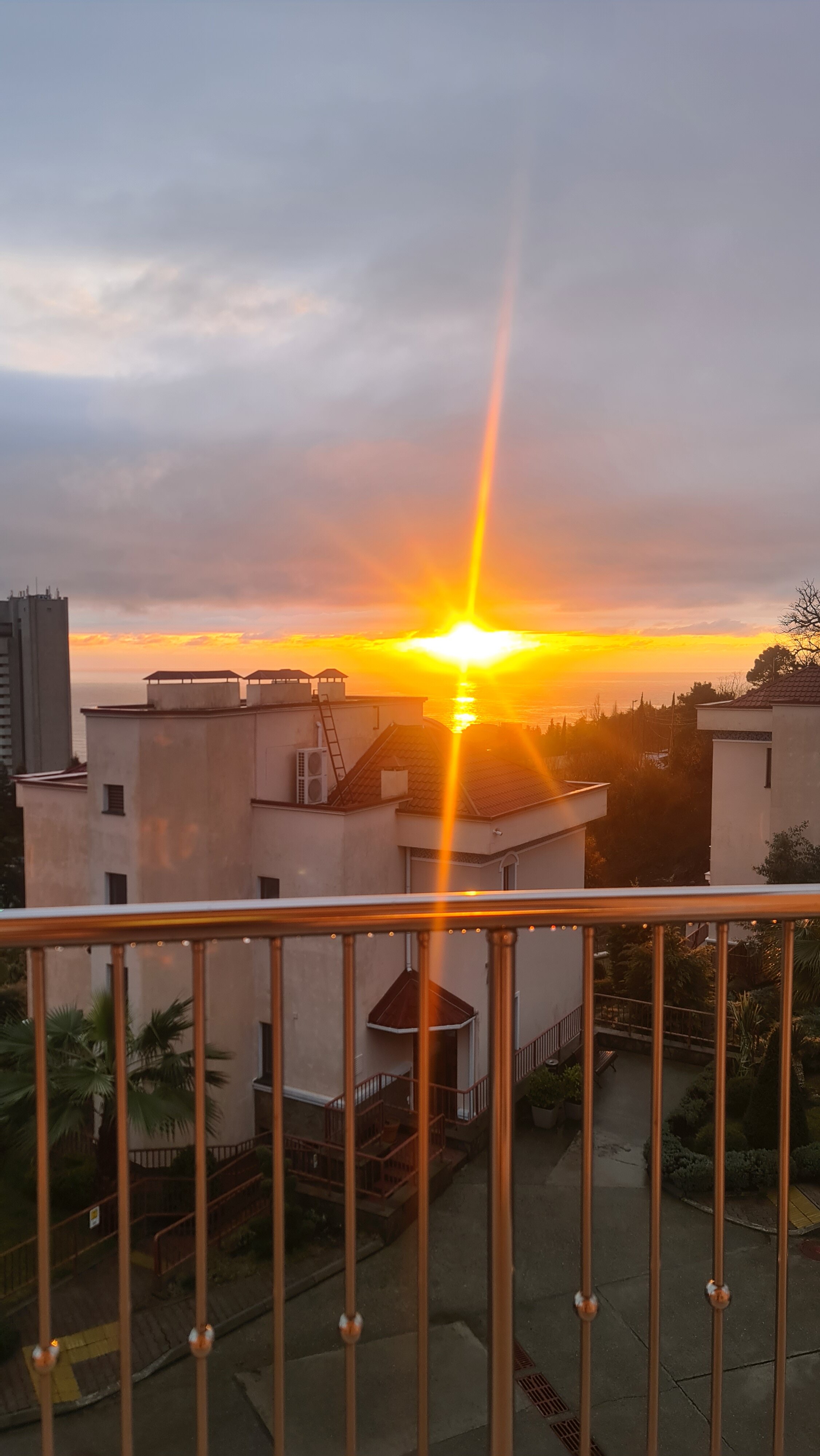 Фото Ревиталь Парк