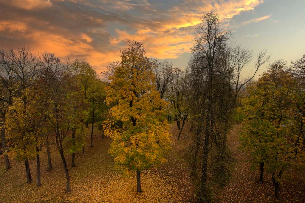Фото Radisson Blu Park Hotel, Oslo