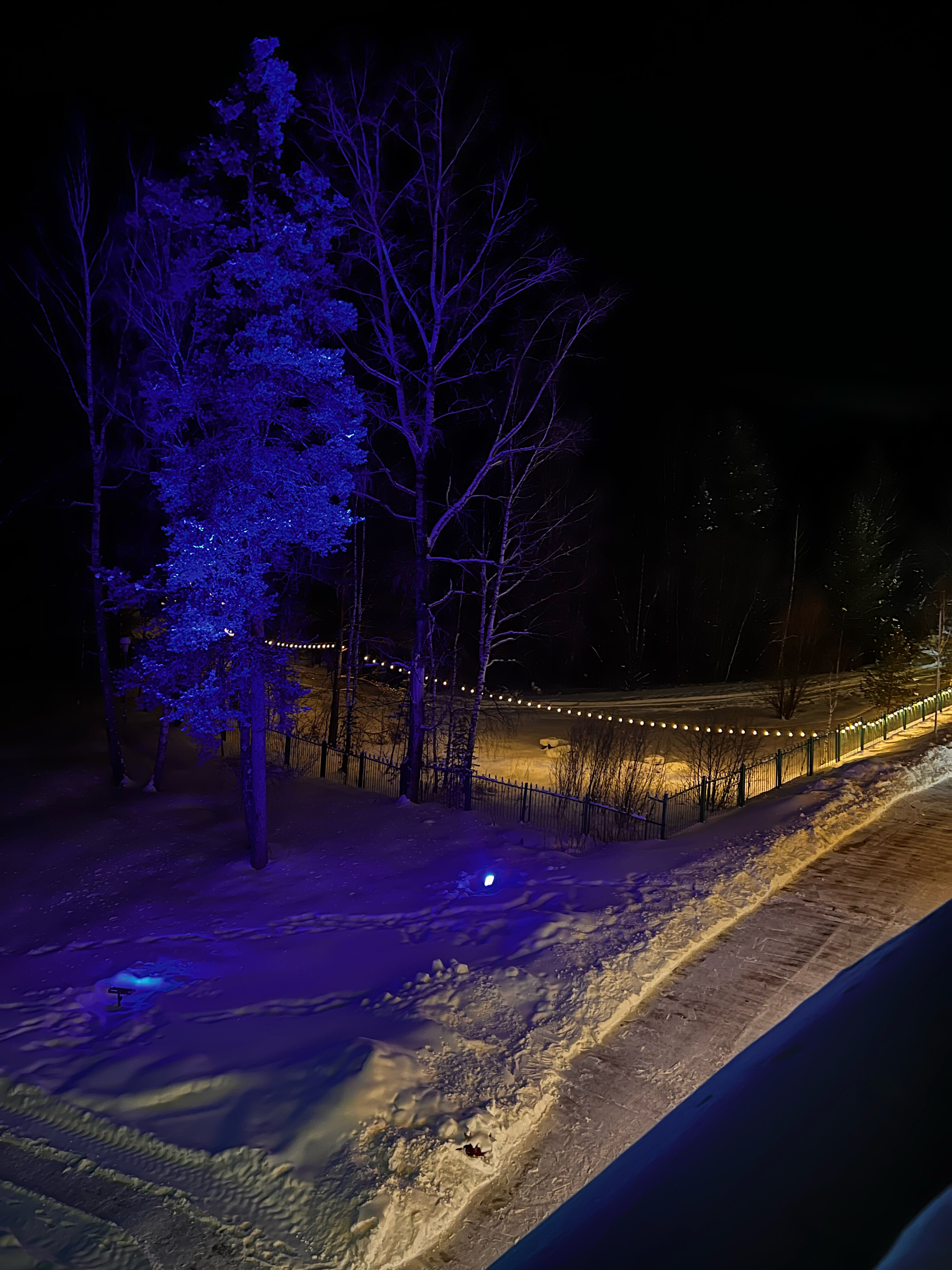 Фото Каменный цветок