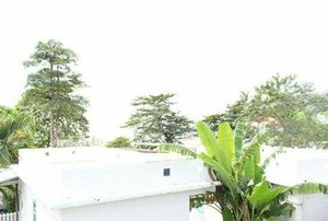 Гостиница Capital O 75411 Navagio boutique Koh Chang