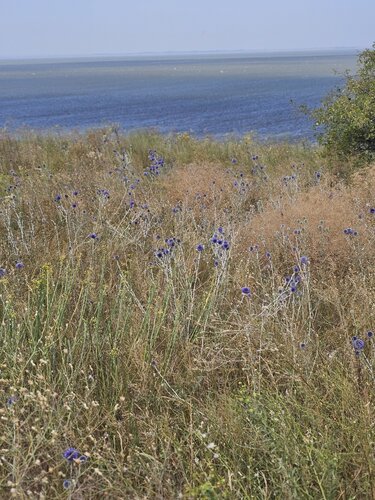 Гостевой дом Арт Блага в Благовещенской